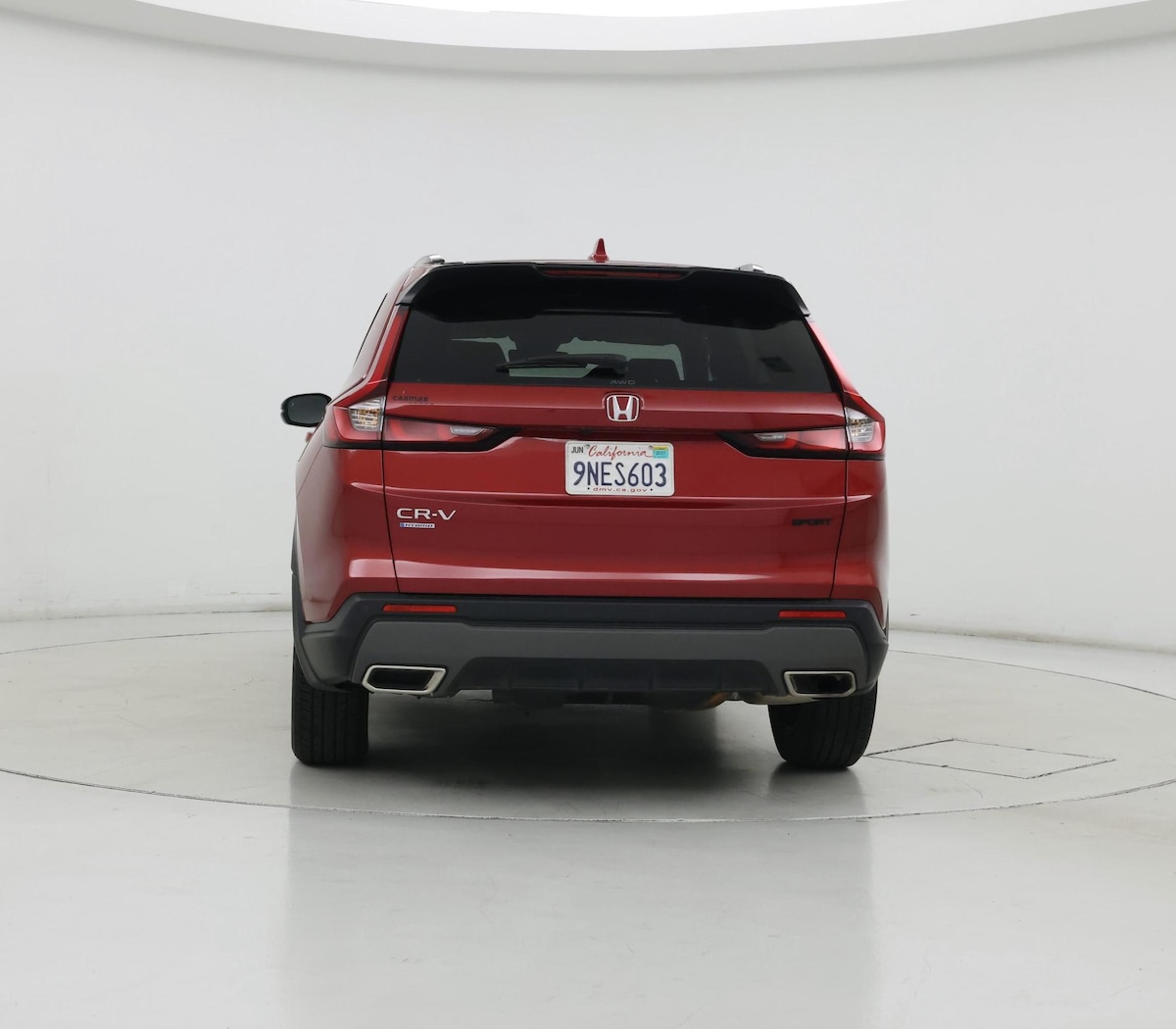 Rear
