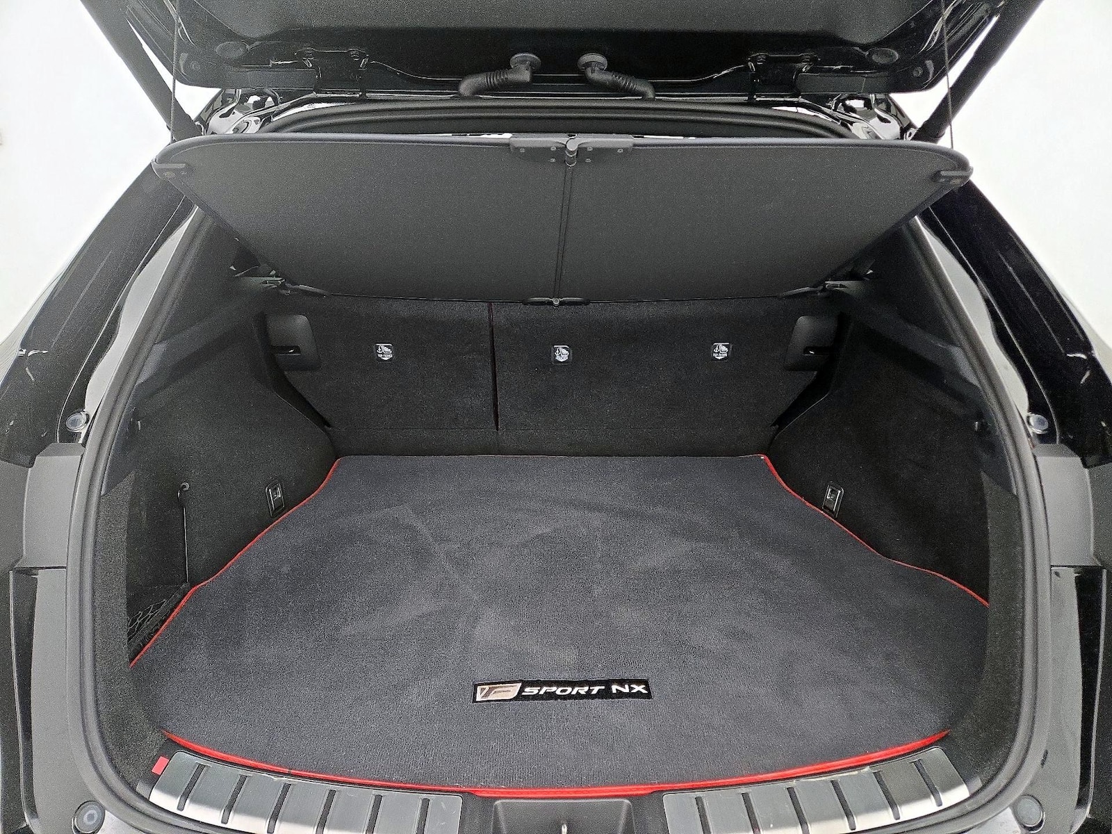 2024 Lexus NX PHEV 450h+ - Photo 22