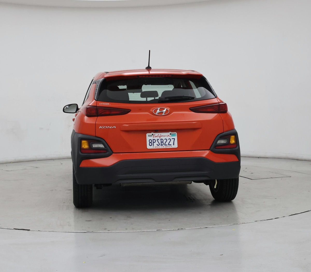 Rear