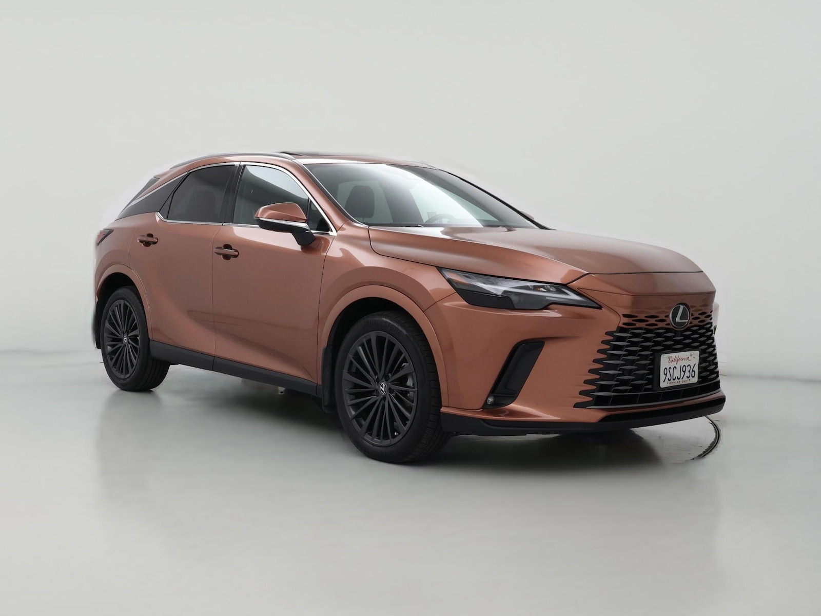 2025 Lexus RX