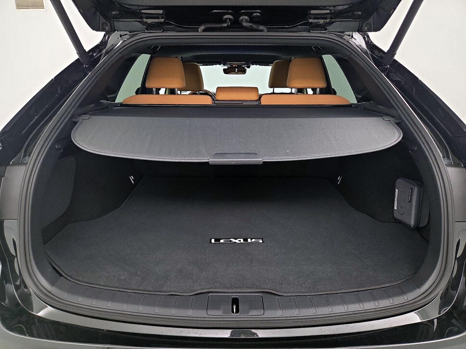 2025 Lexus RX 350 - Photo 22