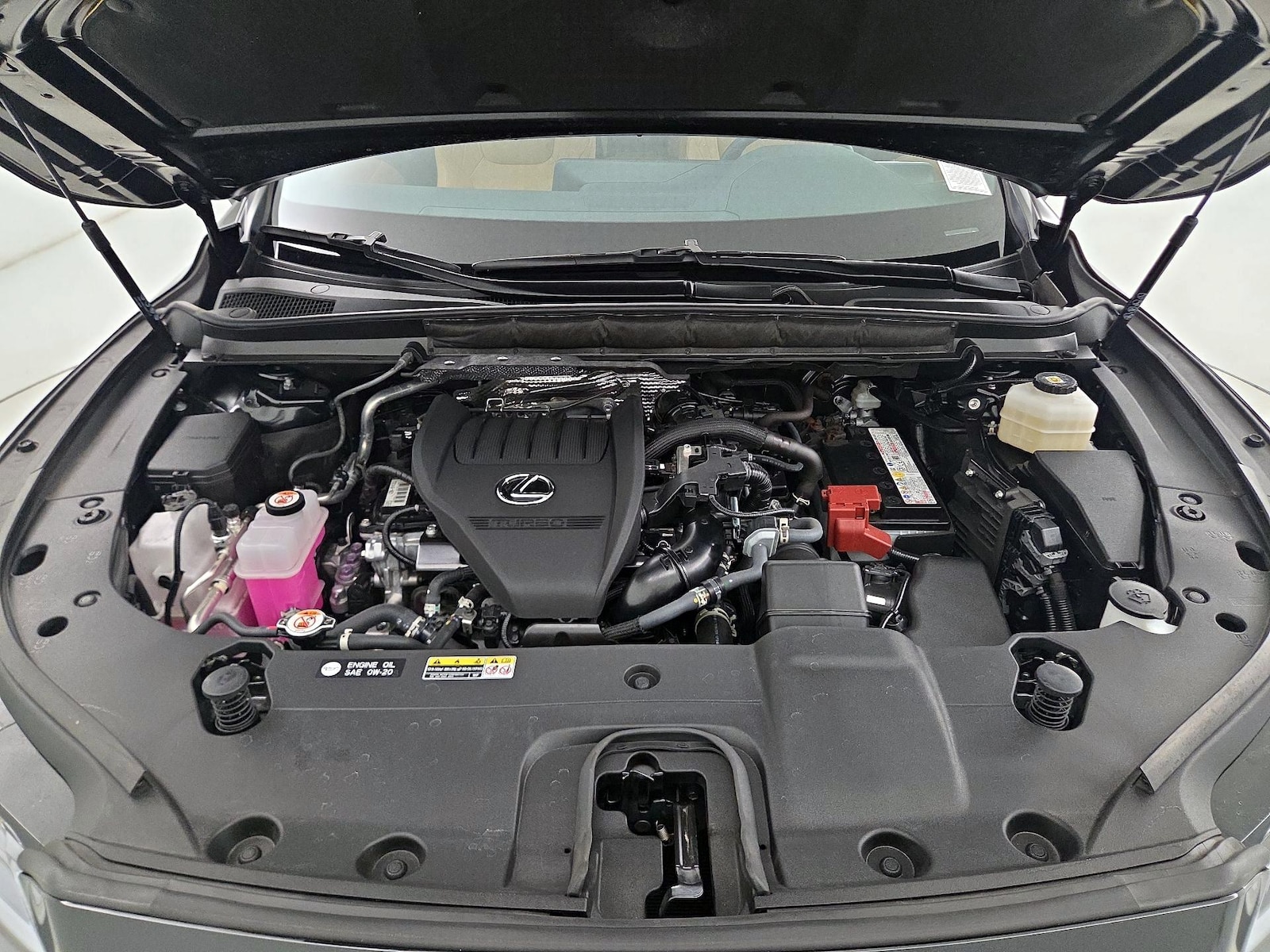 2025 Lexus RX 350 - Photo 23