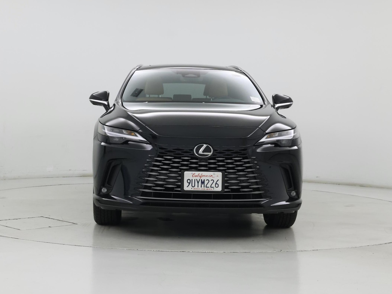 2025 Lexus RX 350 - Photo 6