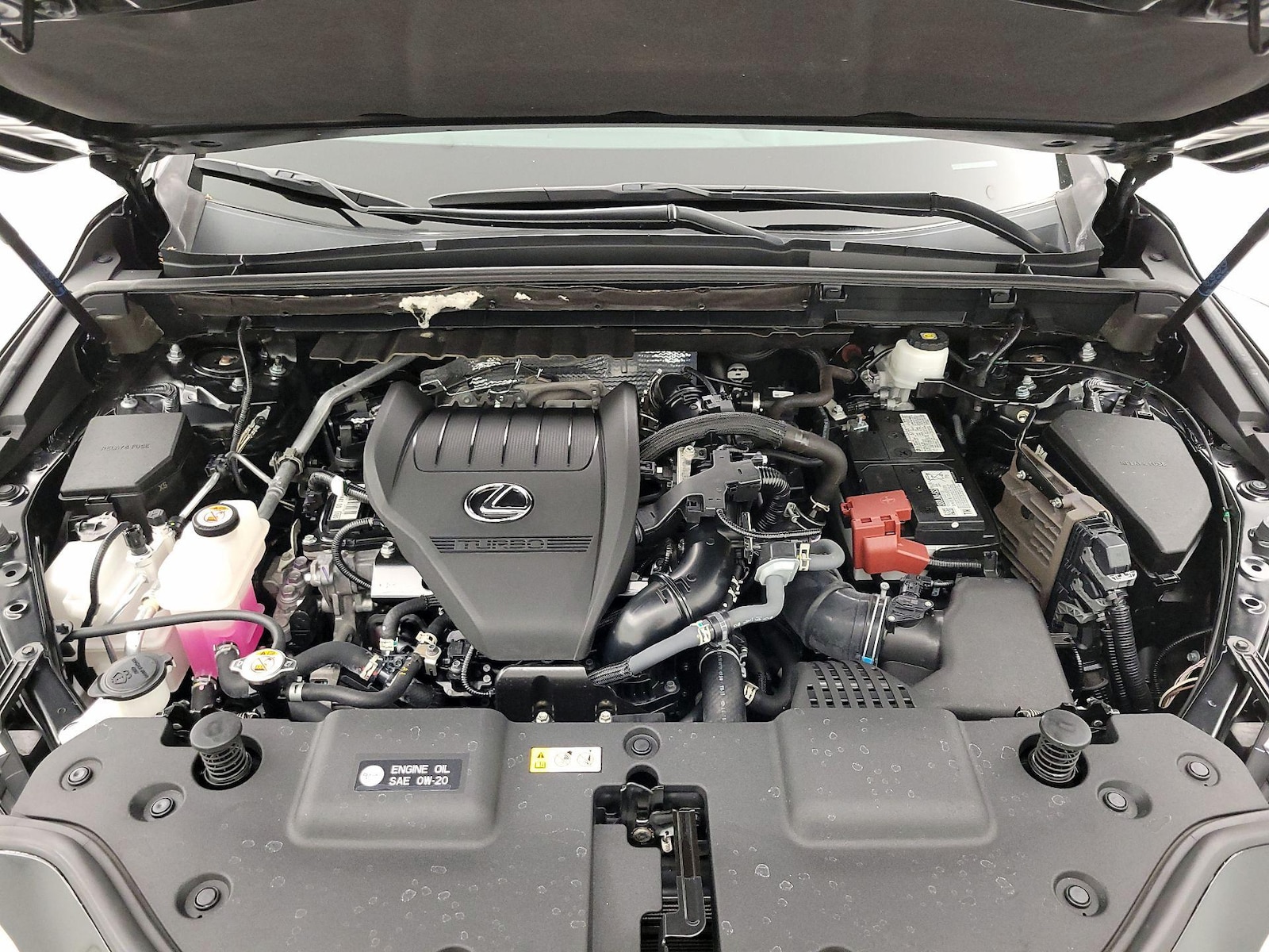 2024 Lexus NX 350 - Photo 23