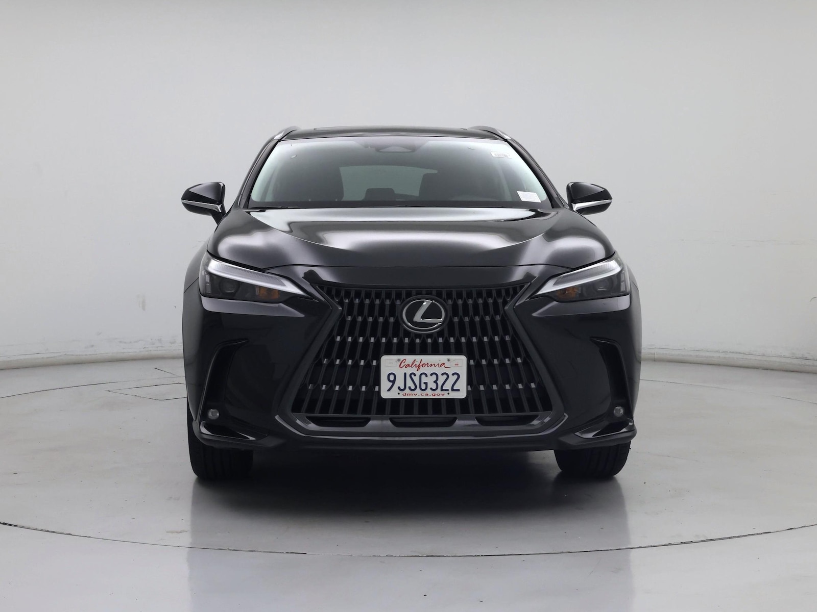 2024 Lexus NX 350 - Photo 6