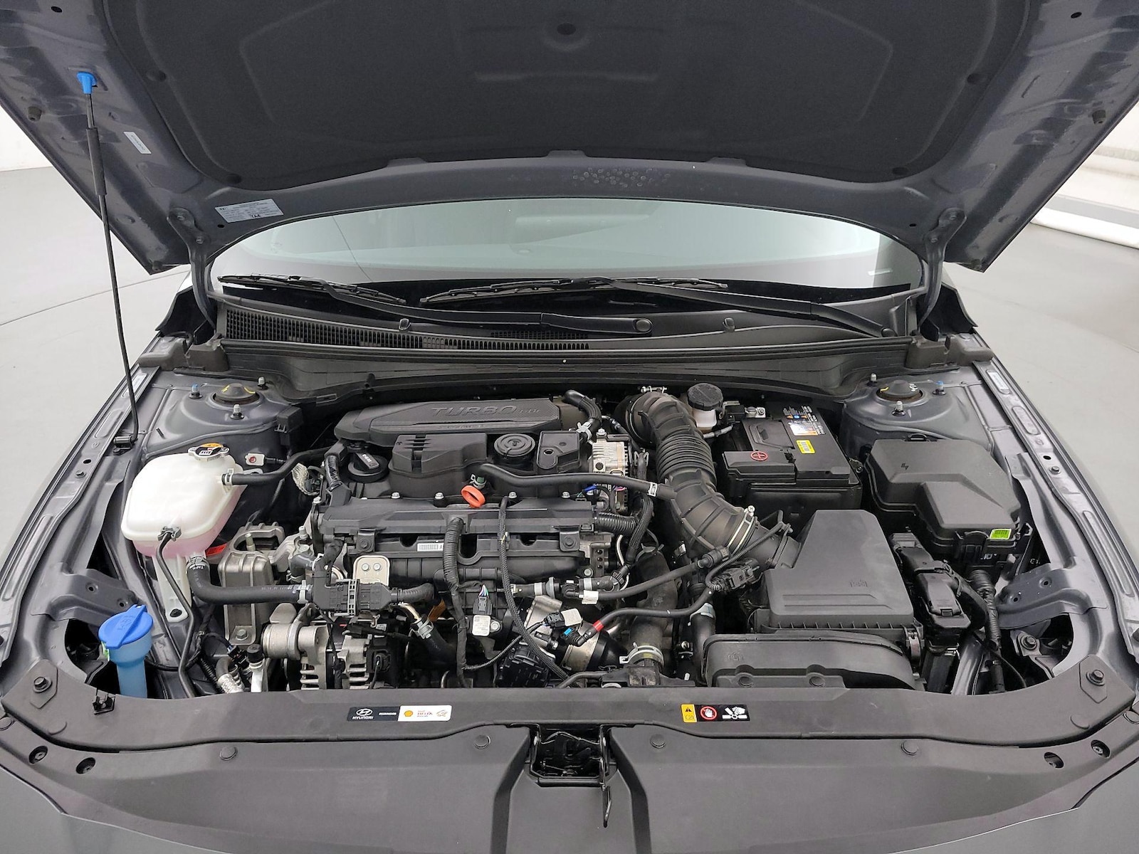 2025 Hyundai Elantra N Line - Photo 24