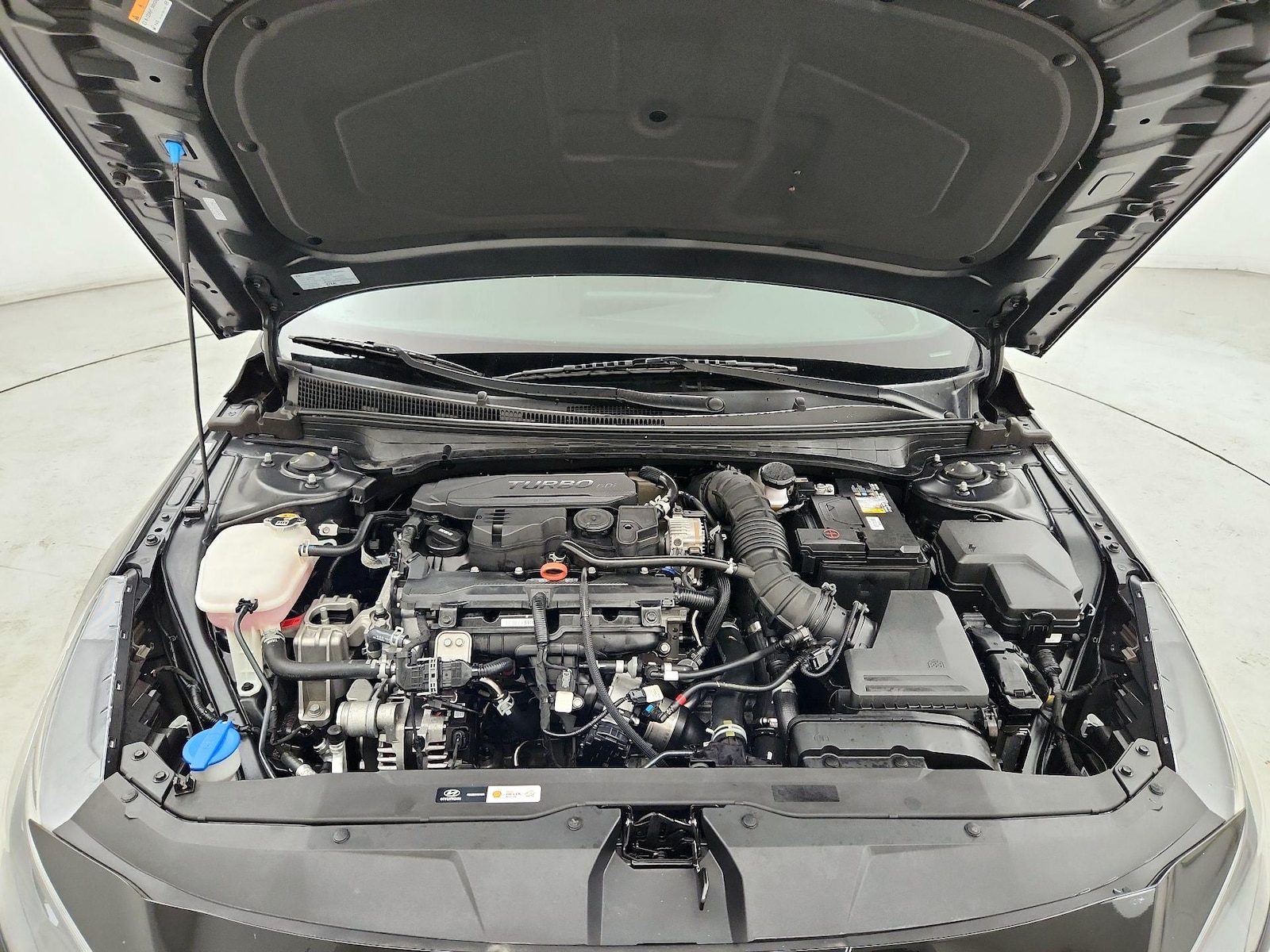 2021 Hyundai Elantra N Line - Photo 23