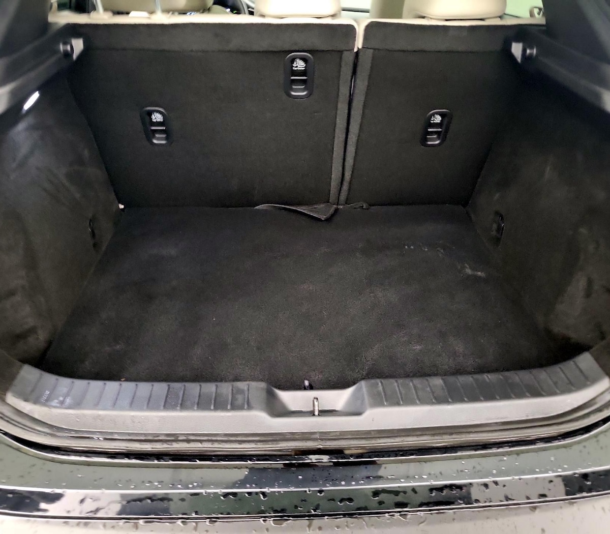 Trunk/Cargo (Seats Up)