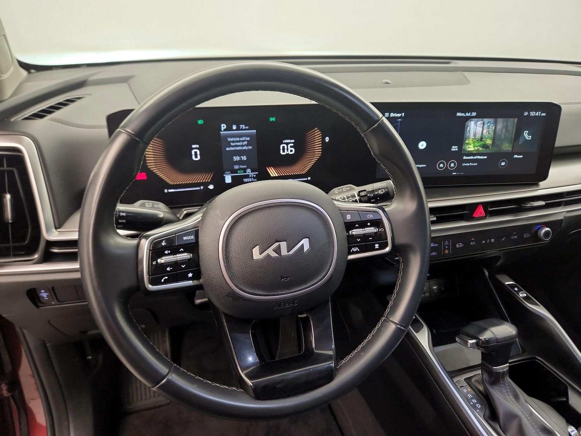 Thumbnail: 2024 Kia Sorento - 10