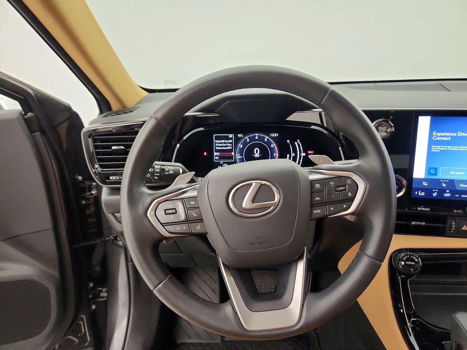 2024 Lexus NX 350 - Photo 11