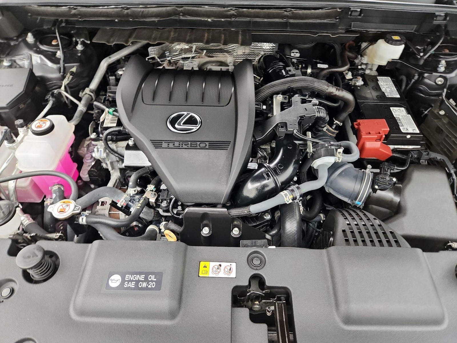 2024 Lexus NX 350 - Photo 24