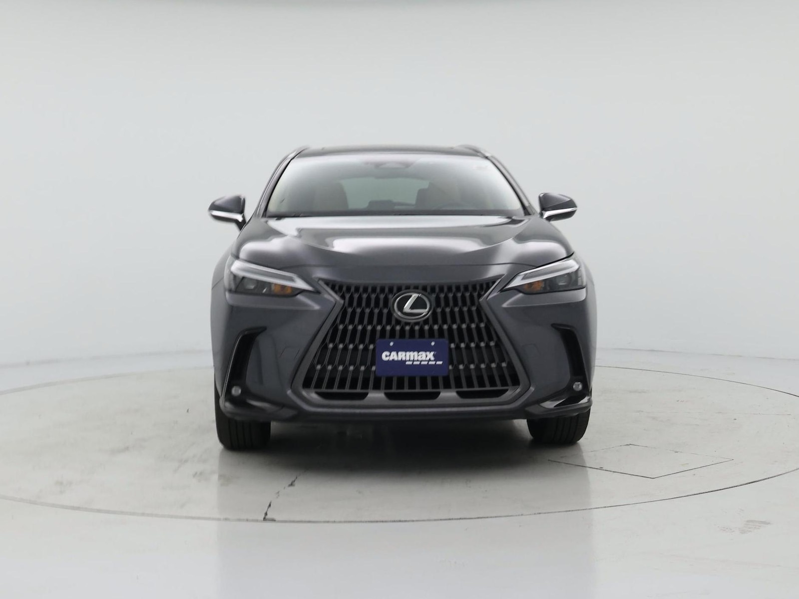 2024 Lexus NX 350 - Photo 6