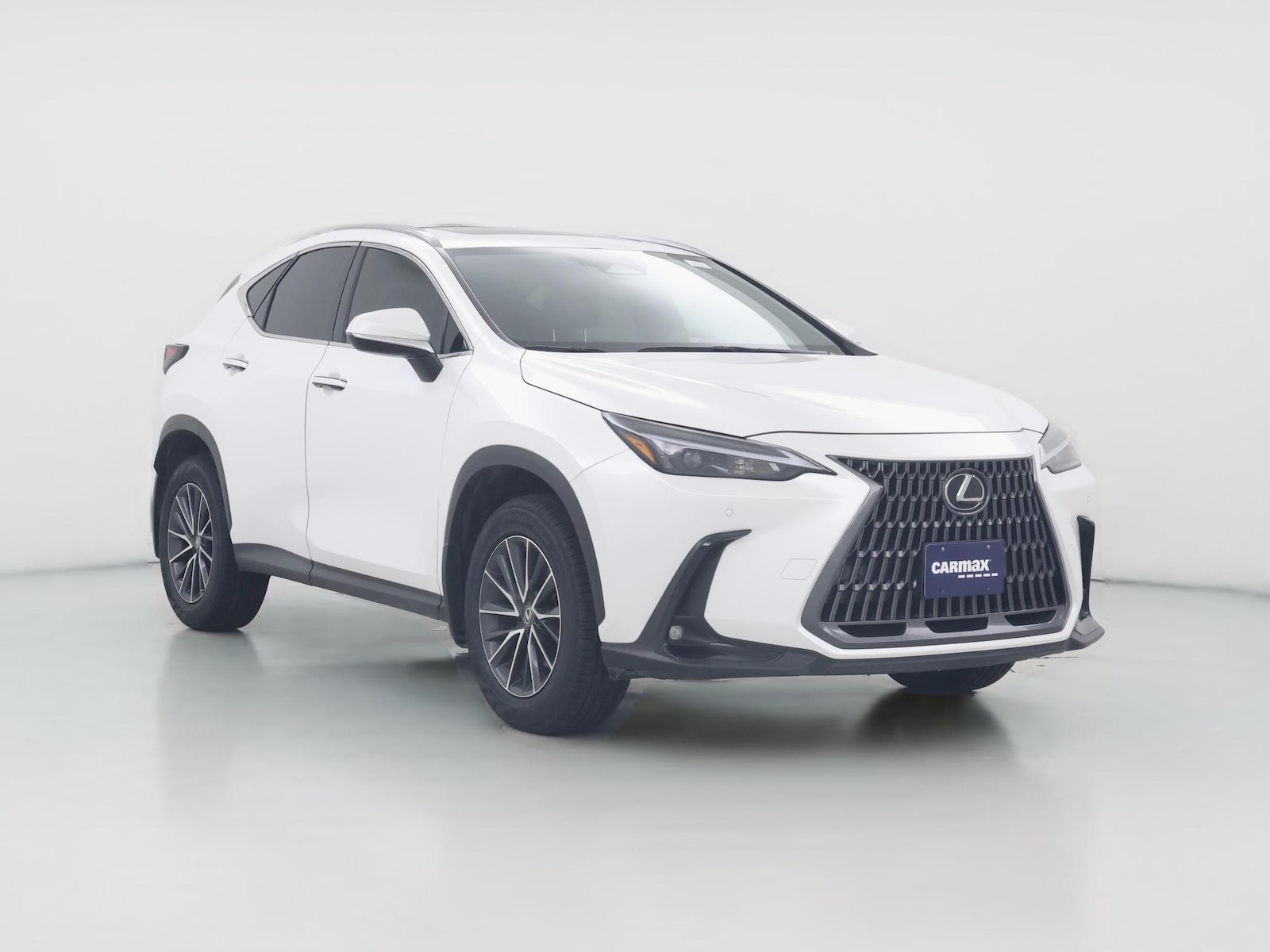 2025 Lexus NX 250