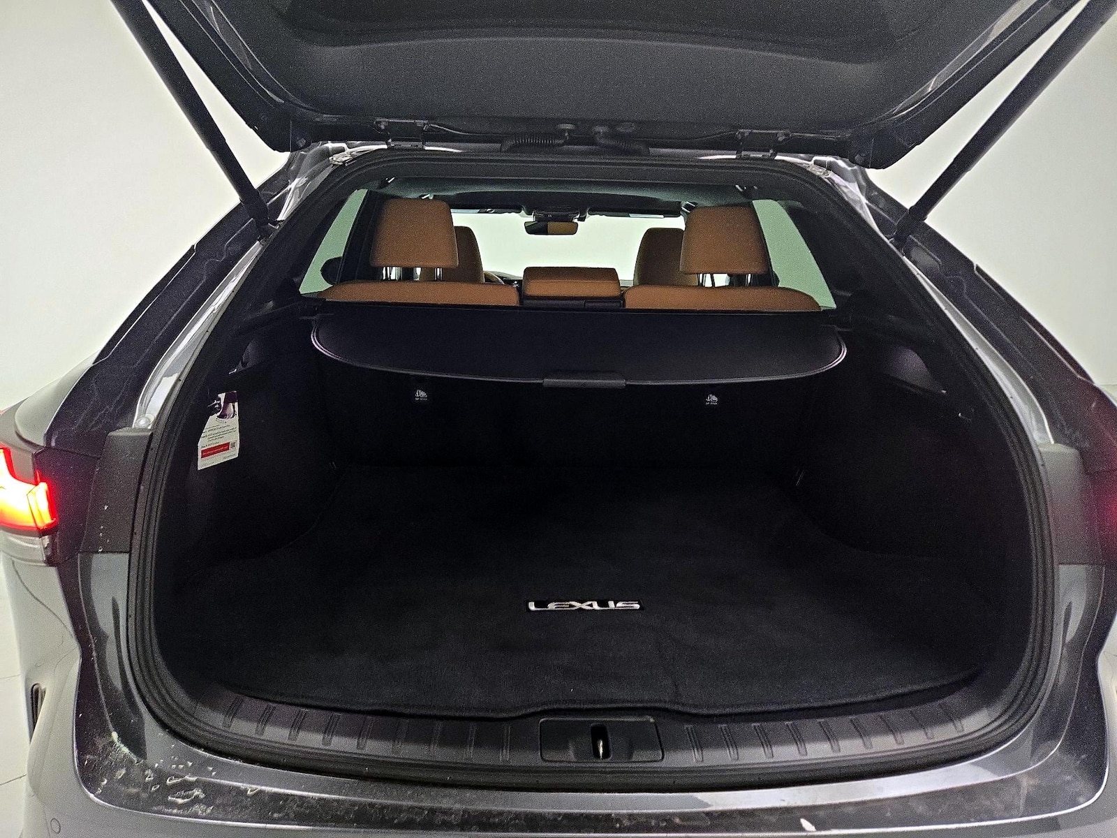 2025 Lexus RX 350 - Photo 22