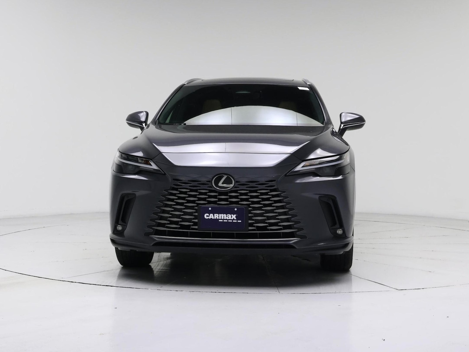 2025 Lexus RX 350 - Photo 6
