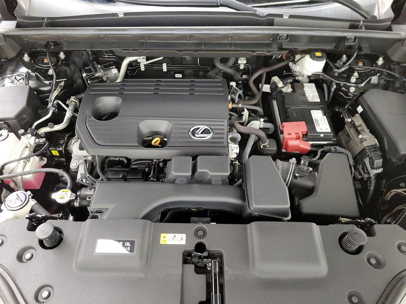 2024 Lexus NX 250 - Photo 23