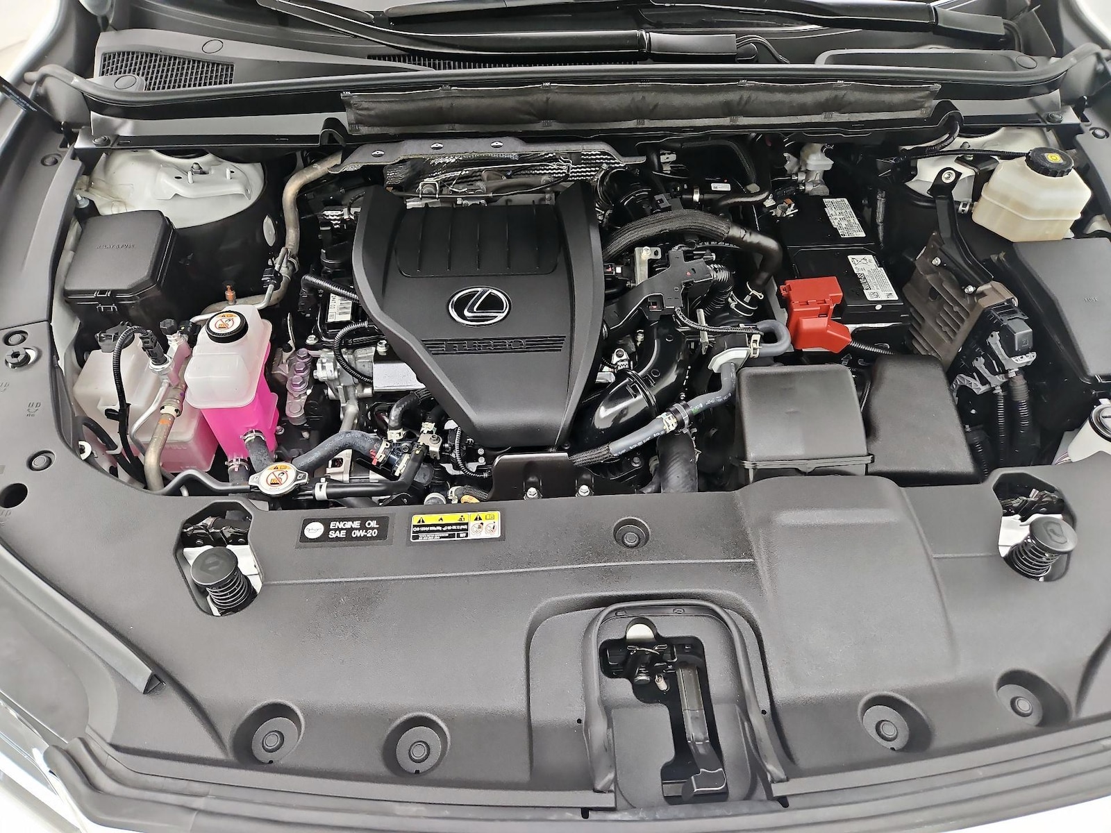 2025 Lexus RX 350 - Photo 22