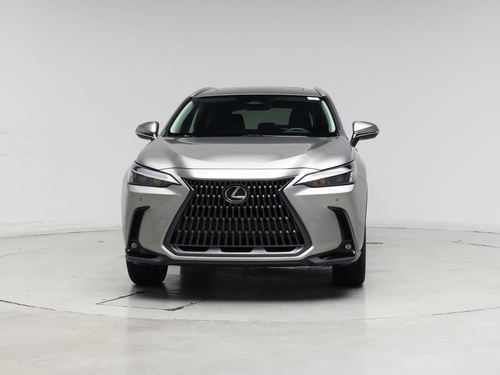 2024 Lexus NX 250 - Photo 6