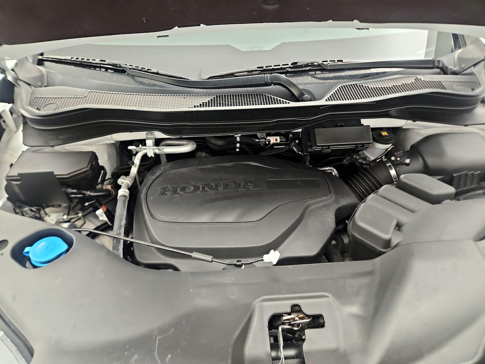 2025 Honda Passport Black Edition - Photo 24