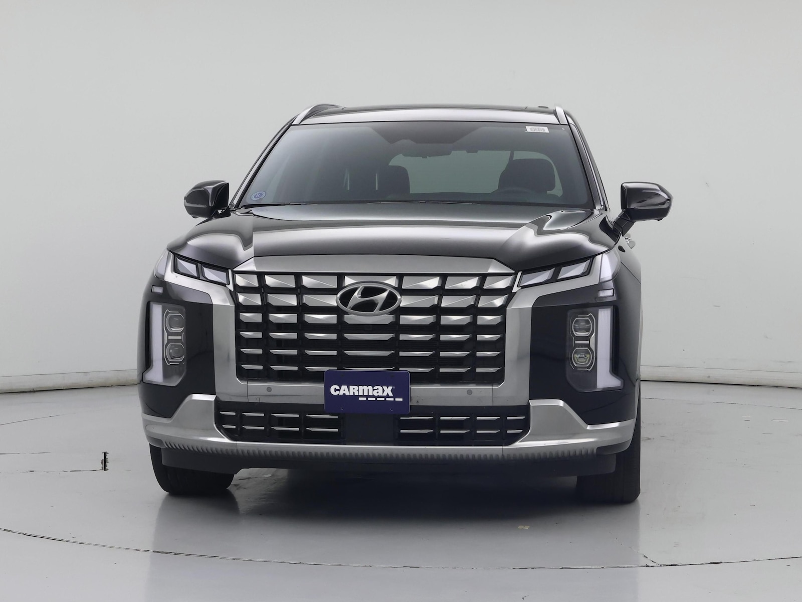2025 Hyundai Palisade Calligraphy - Photo 6