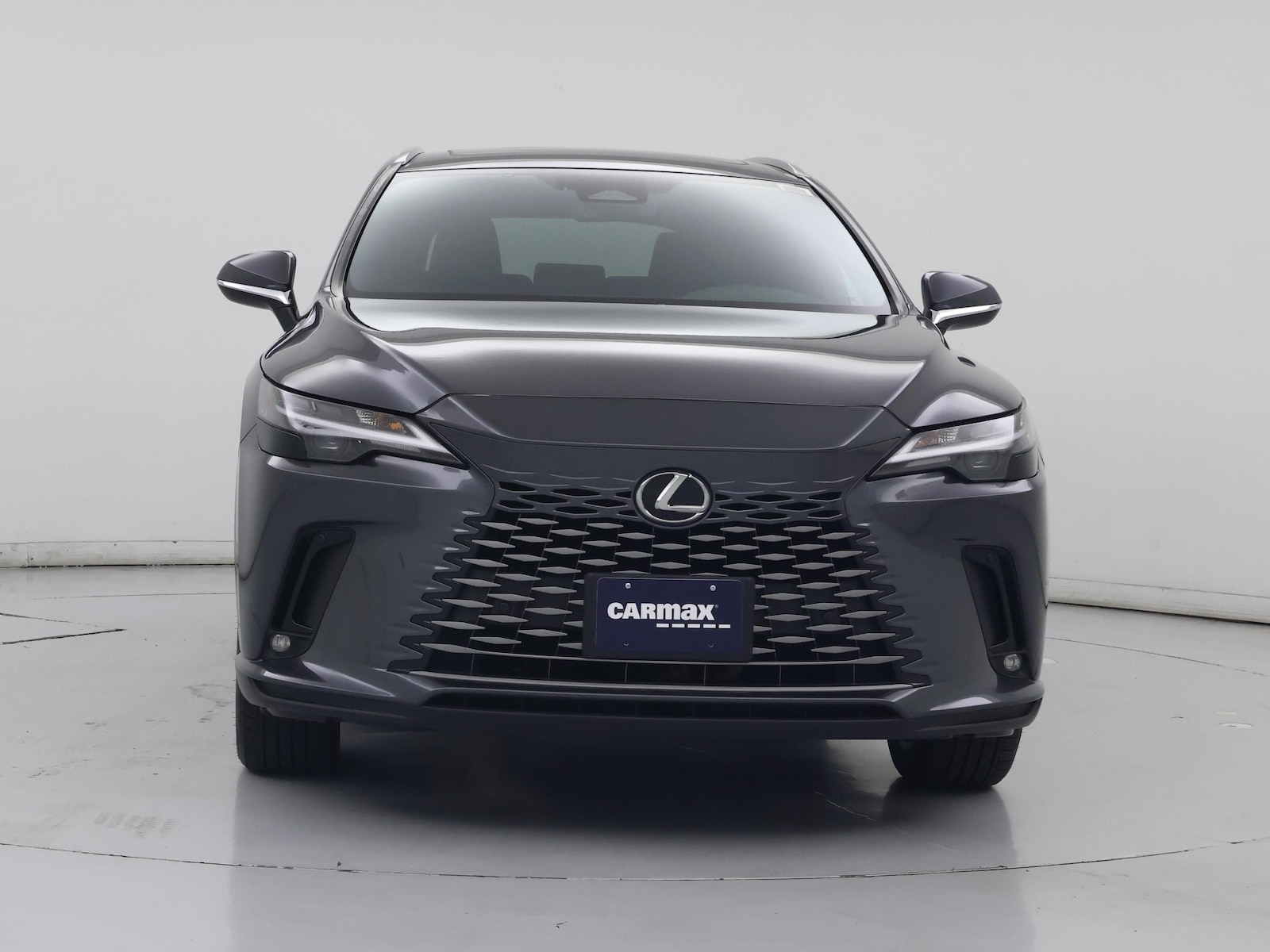 2025 Lexus RX 350 - Photo 6