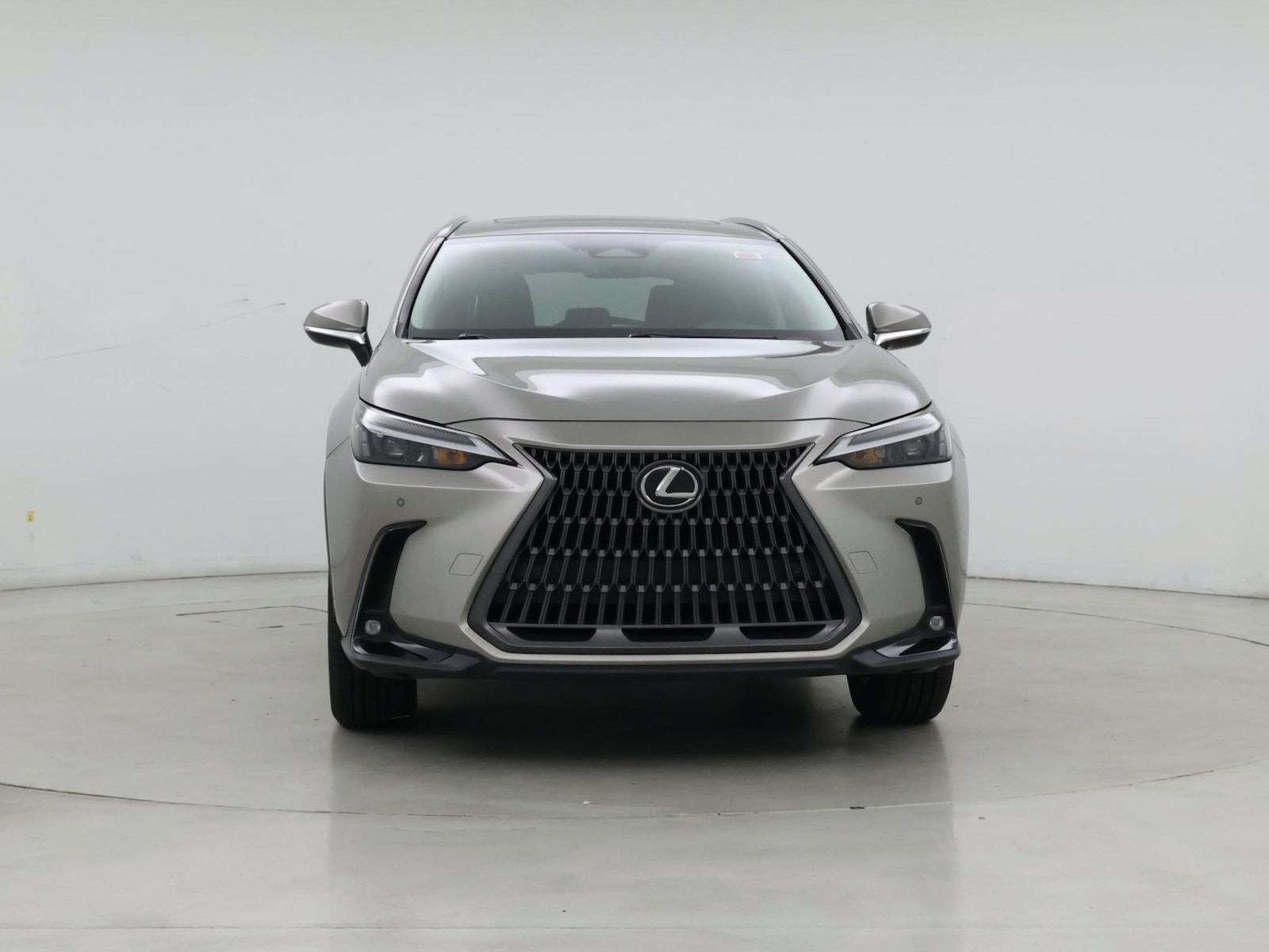 2023 Lexus NX 350 - Photo 6