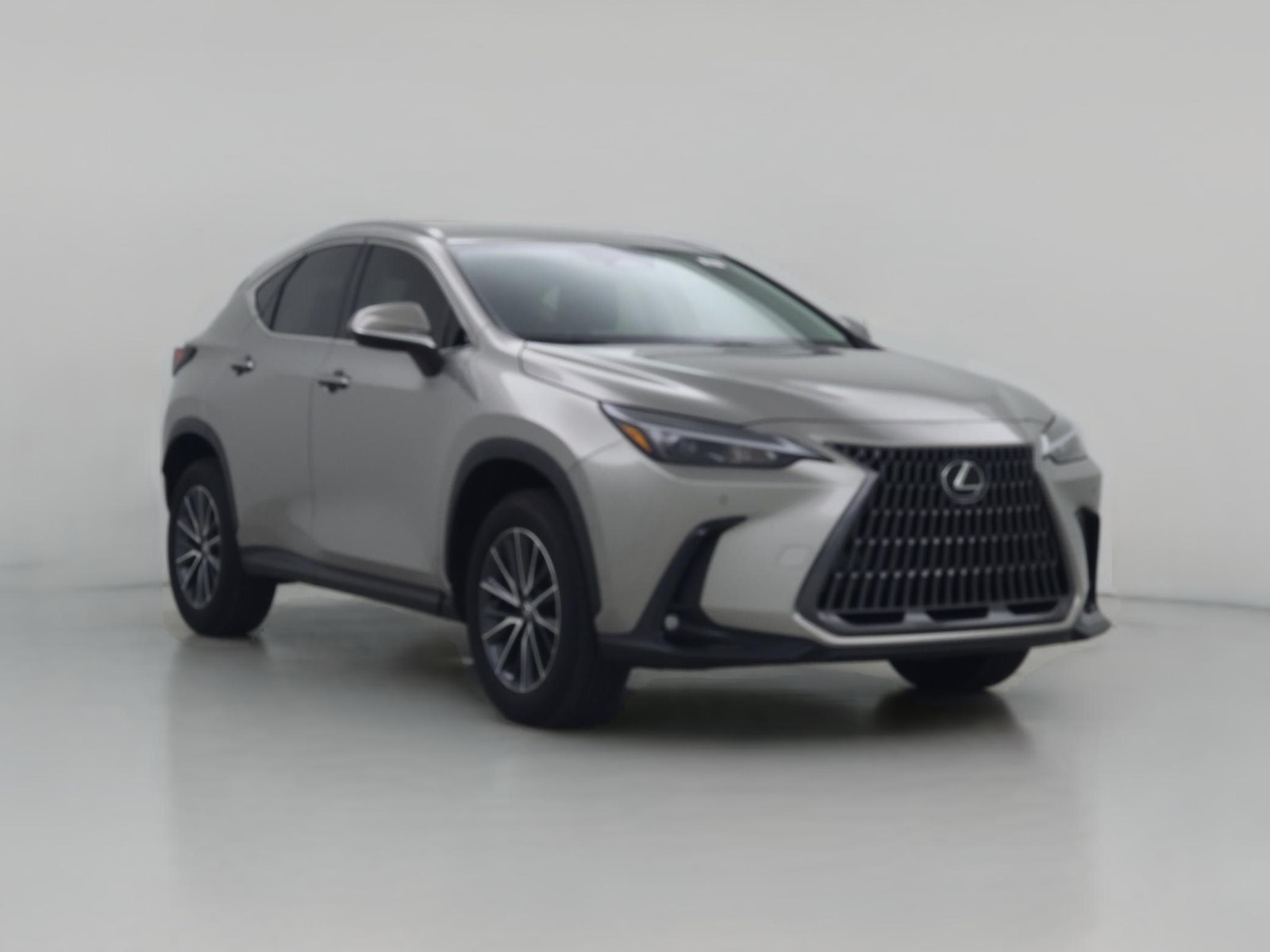 2025 Lexus NX