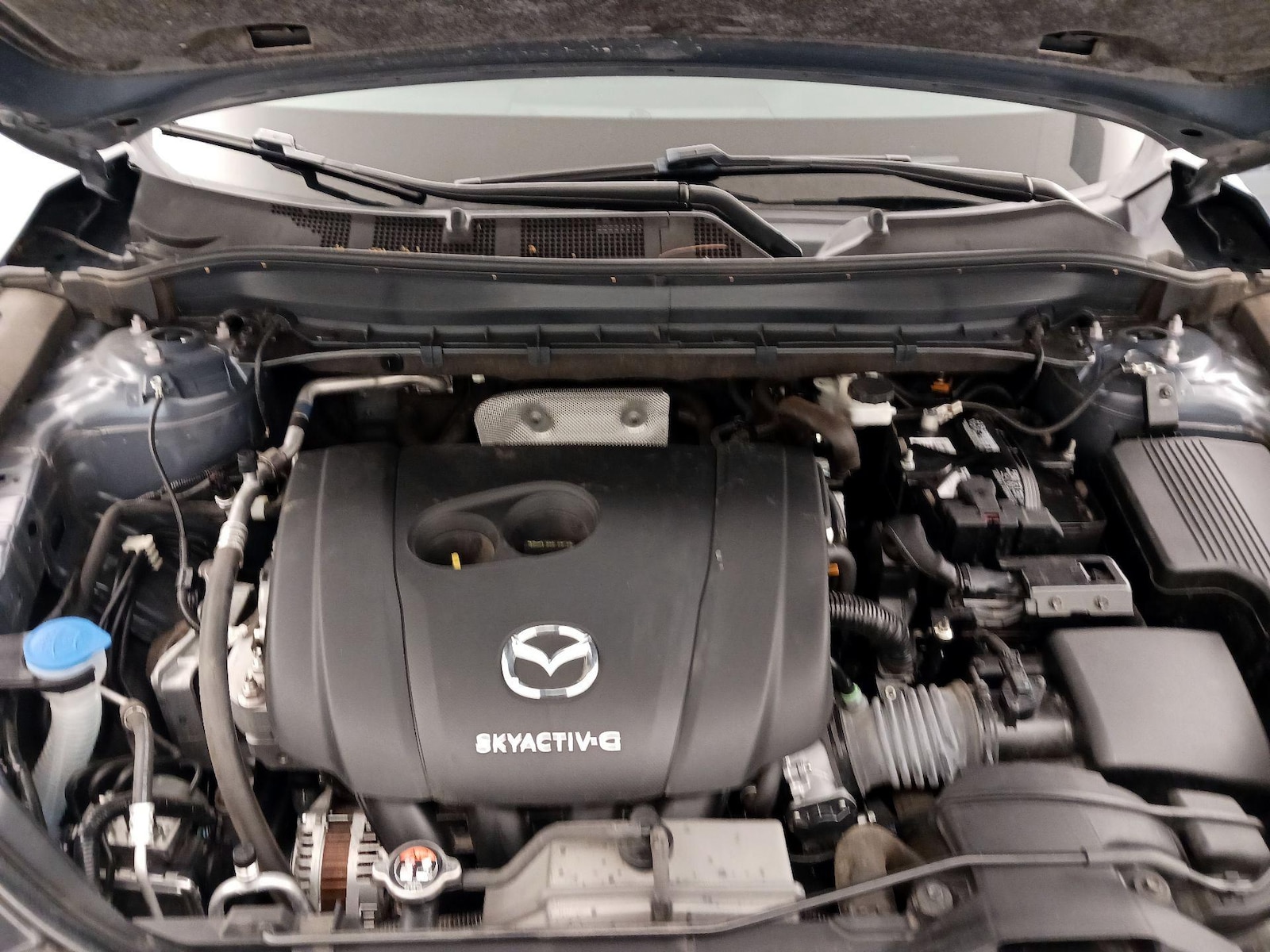 2024 Mazda CX-5 S Preferred package - Photo 23
