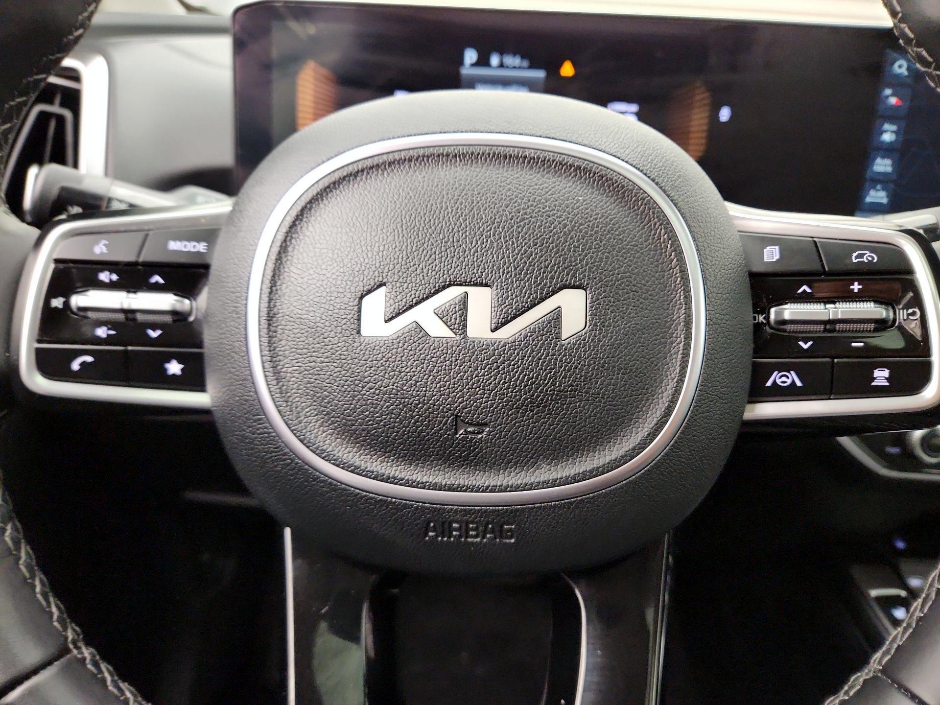 Thumbnail: 2025 Kia Sorento - 10