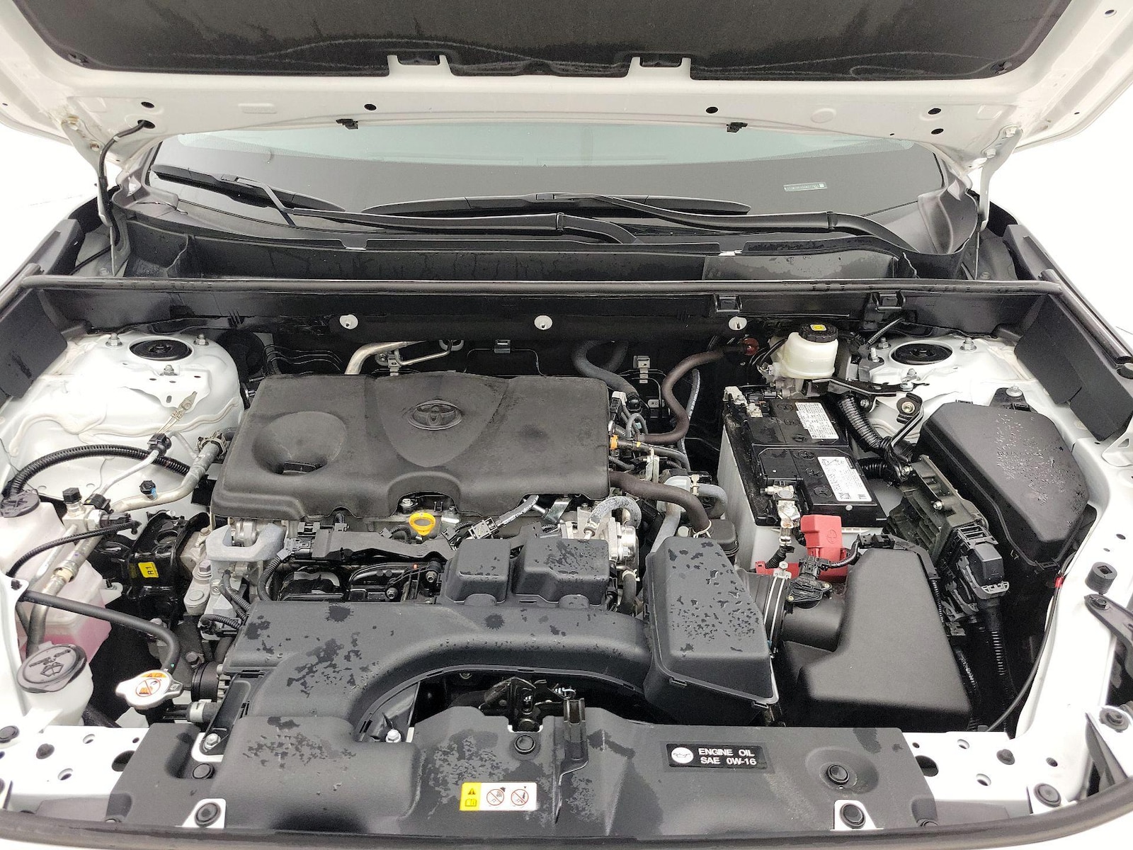 2025 Toyota RAV4 XLE - Photo 22
