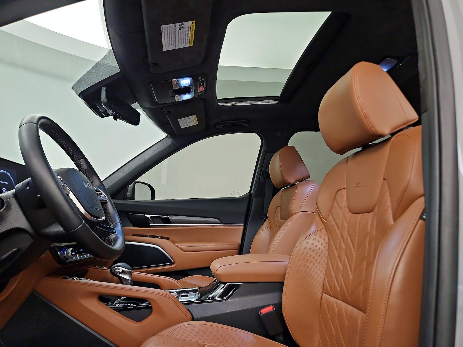 Panoramic Sunroof & Skylight(s)
