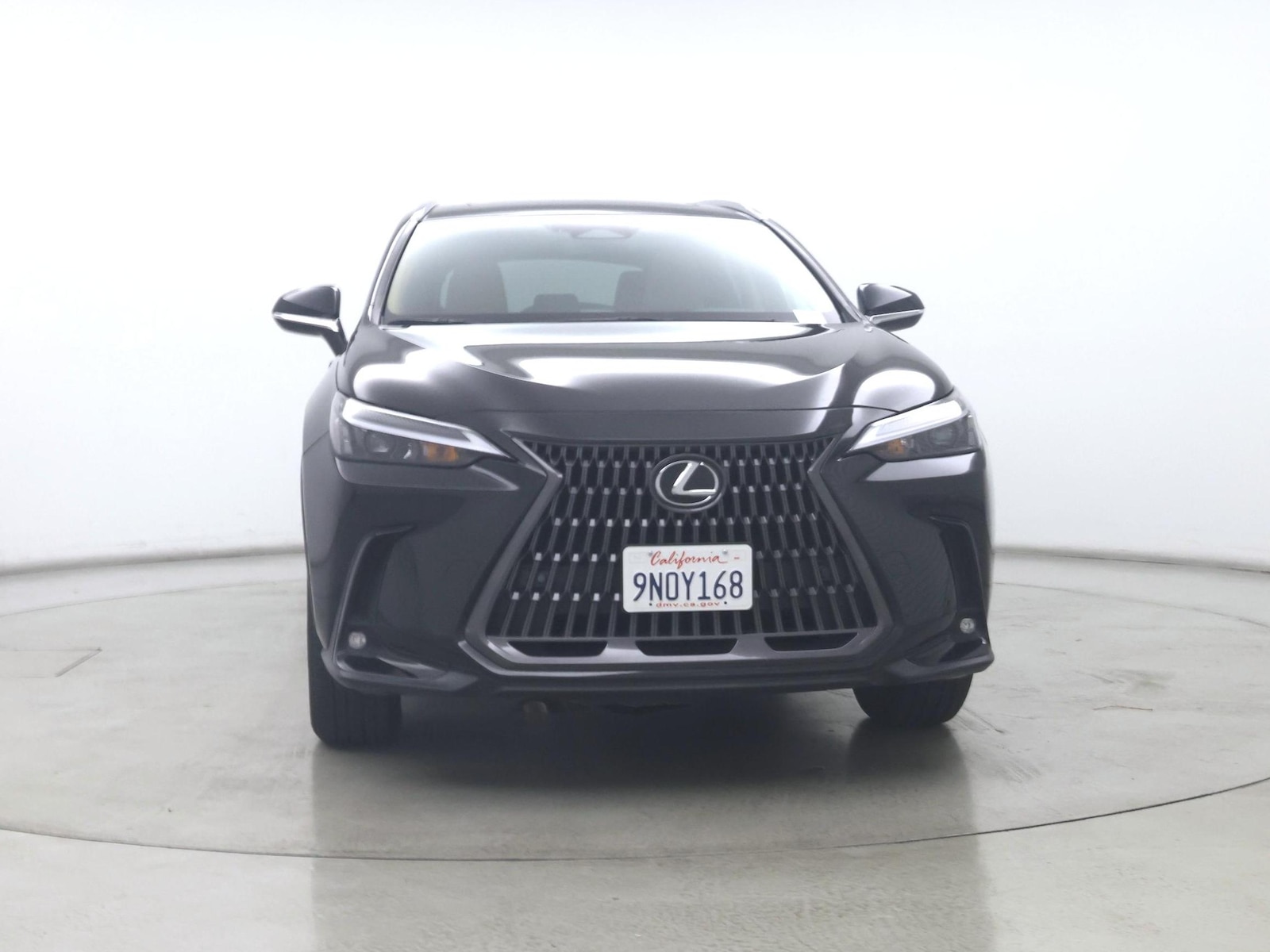 2025 Lexus NX 250 - Photo 6