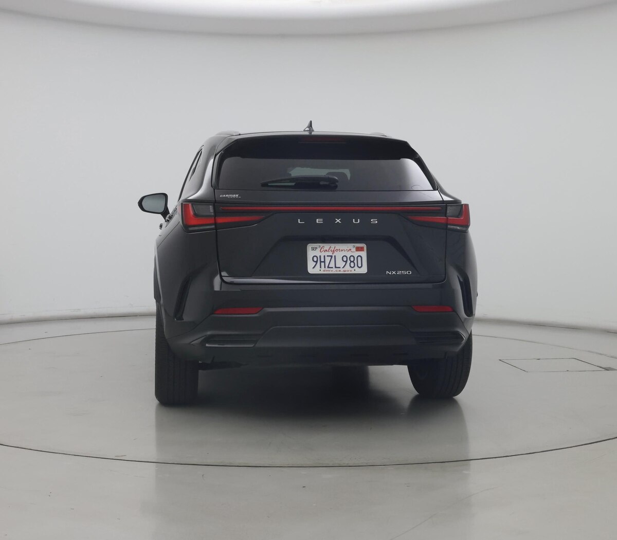 Rear