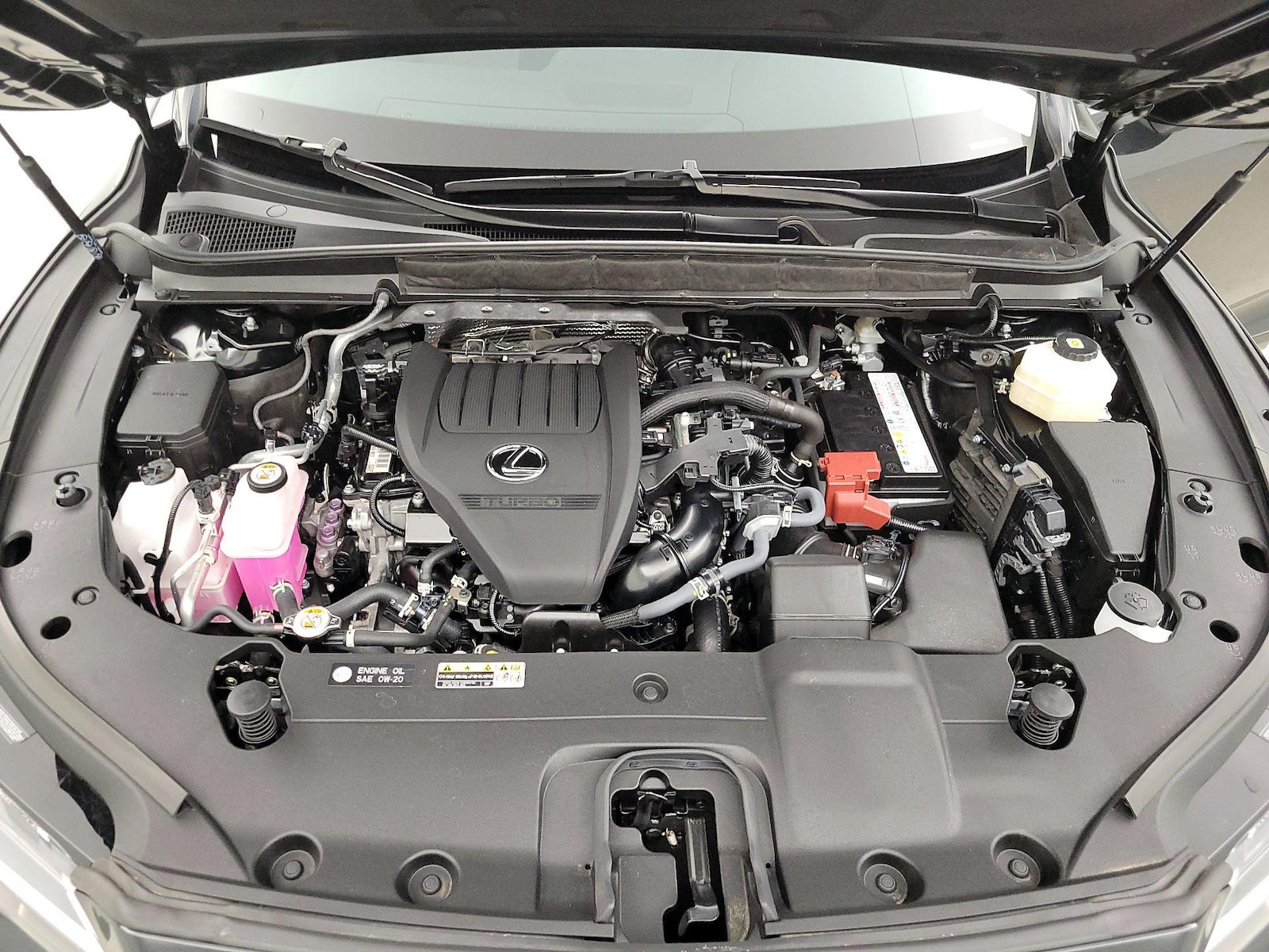 2025 Lexus RX 350 - Photo 21