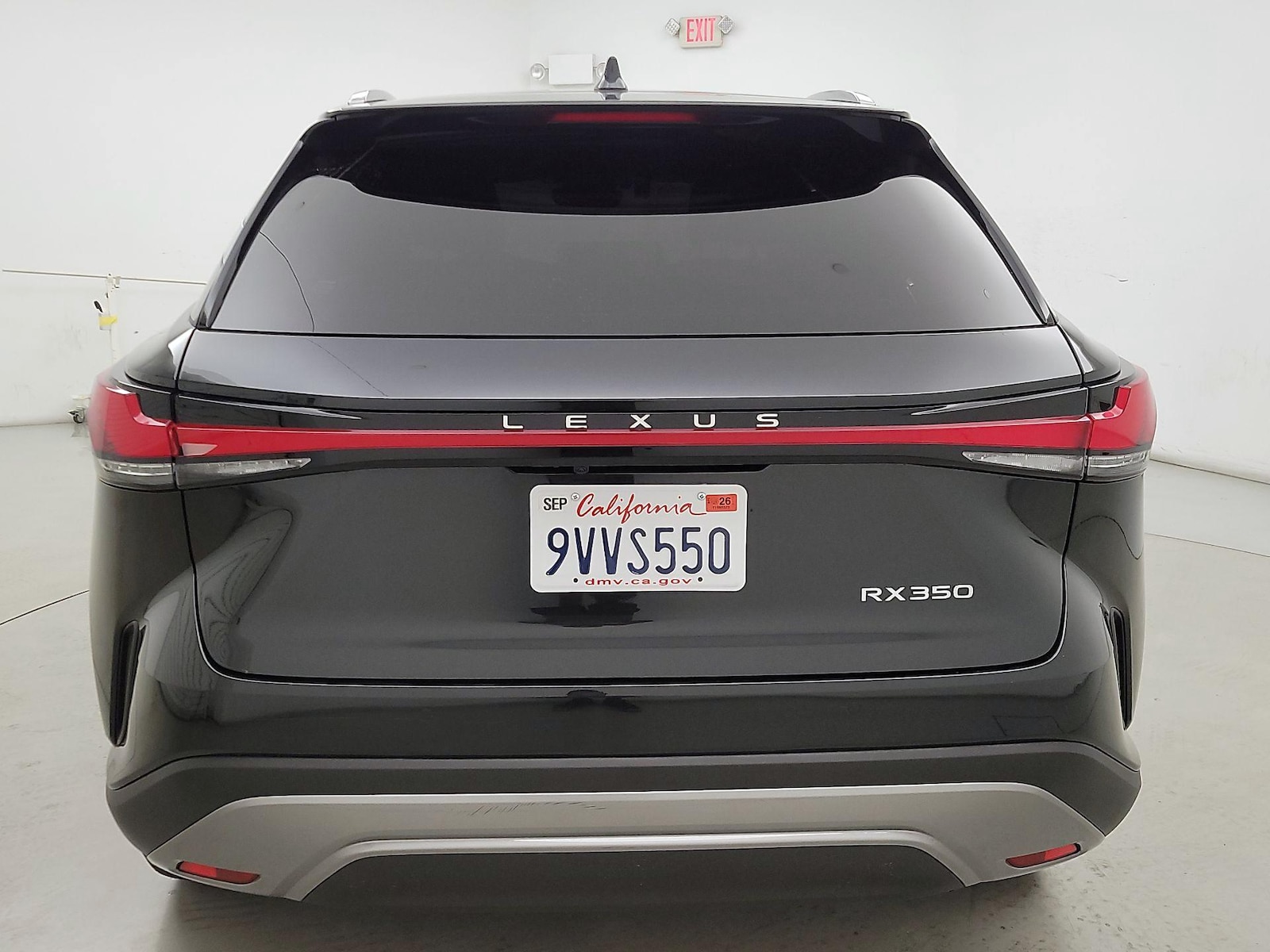 2025 Lexus RX 350 - Photo 6