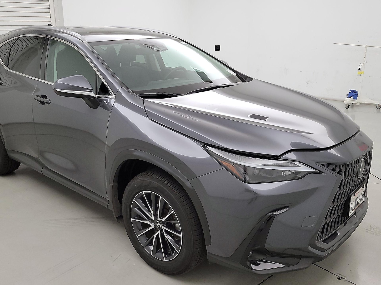 2024 Lexus NX