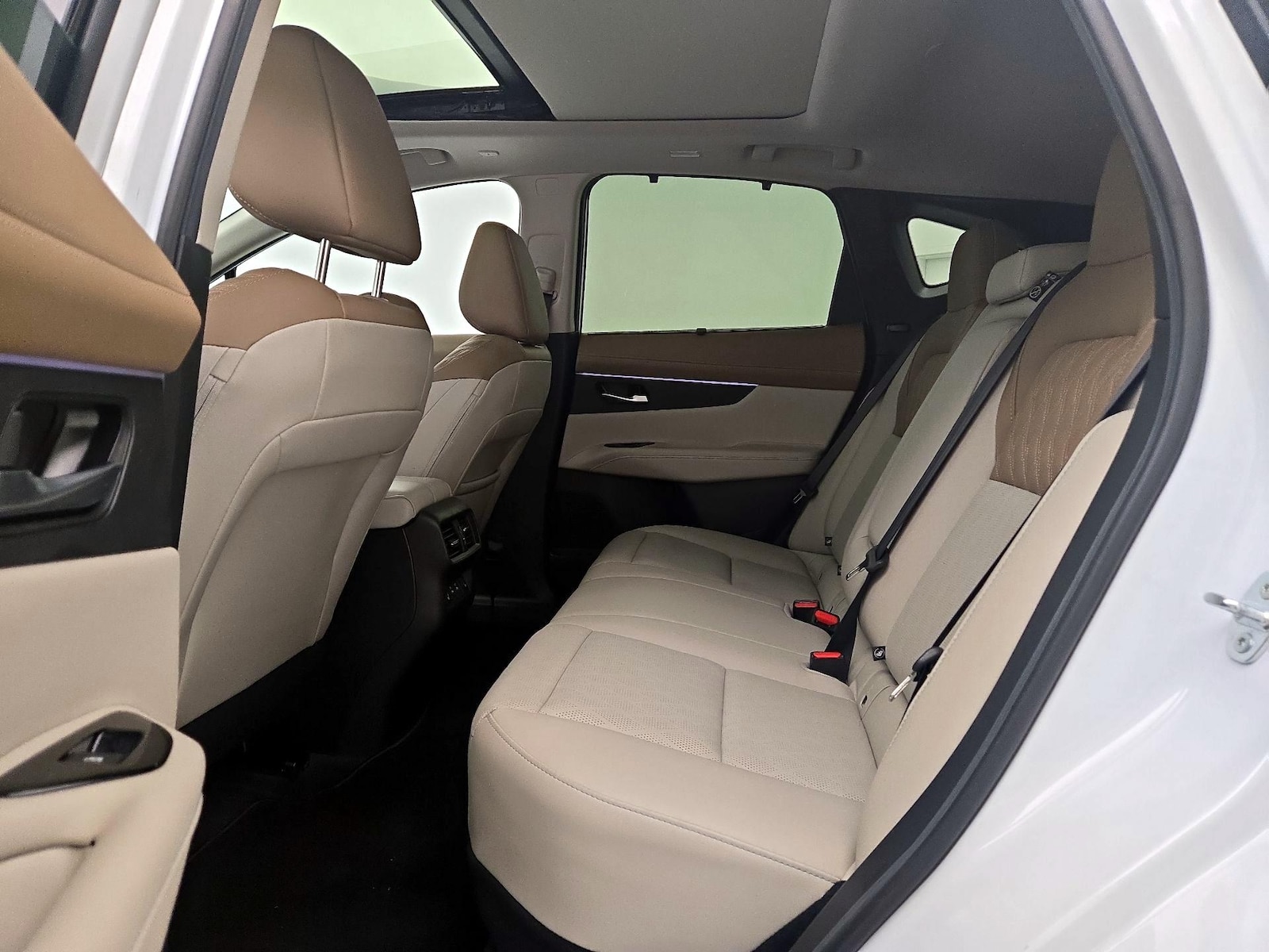 Rear Seat Heaters