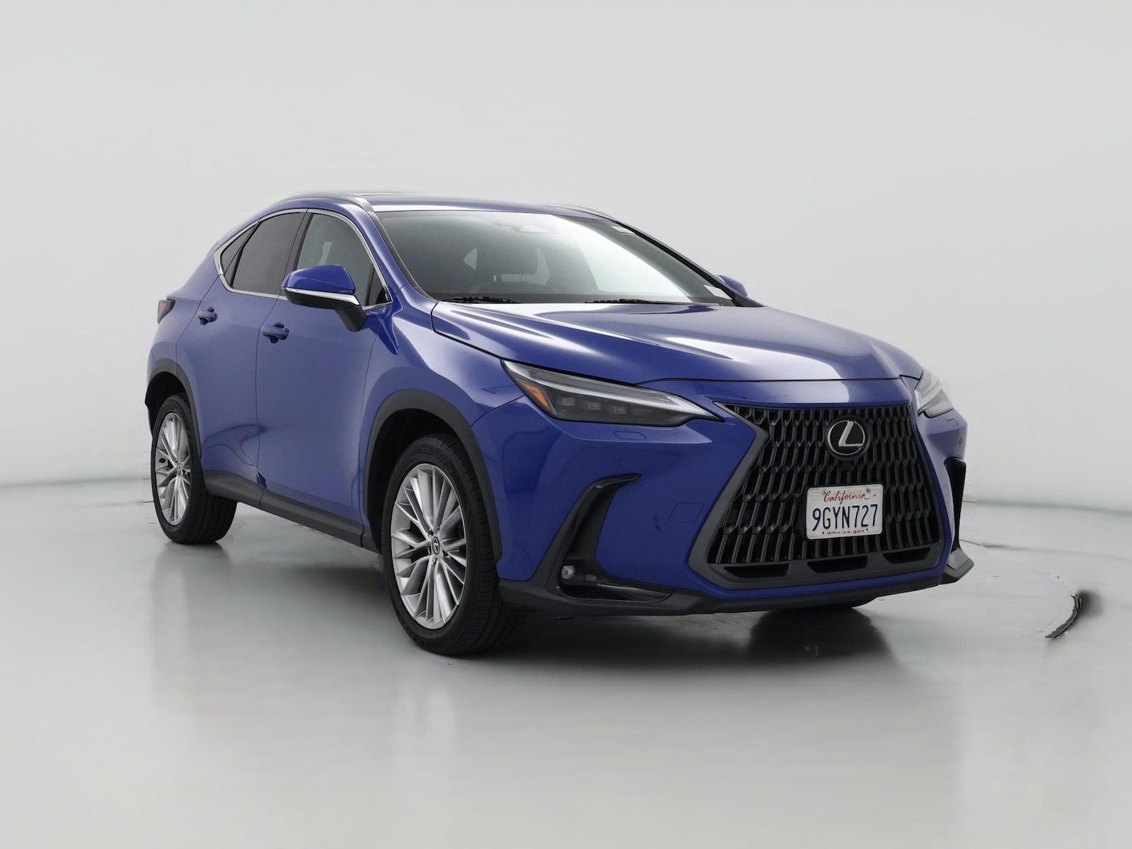 2024 Lexus NX