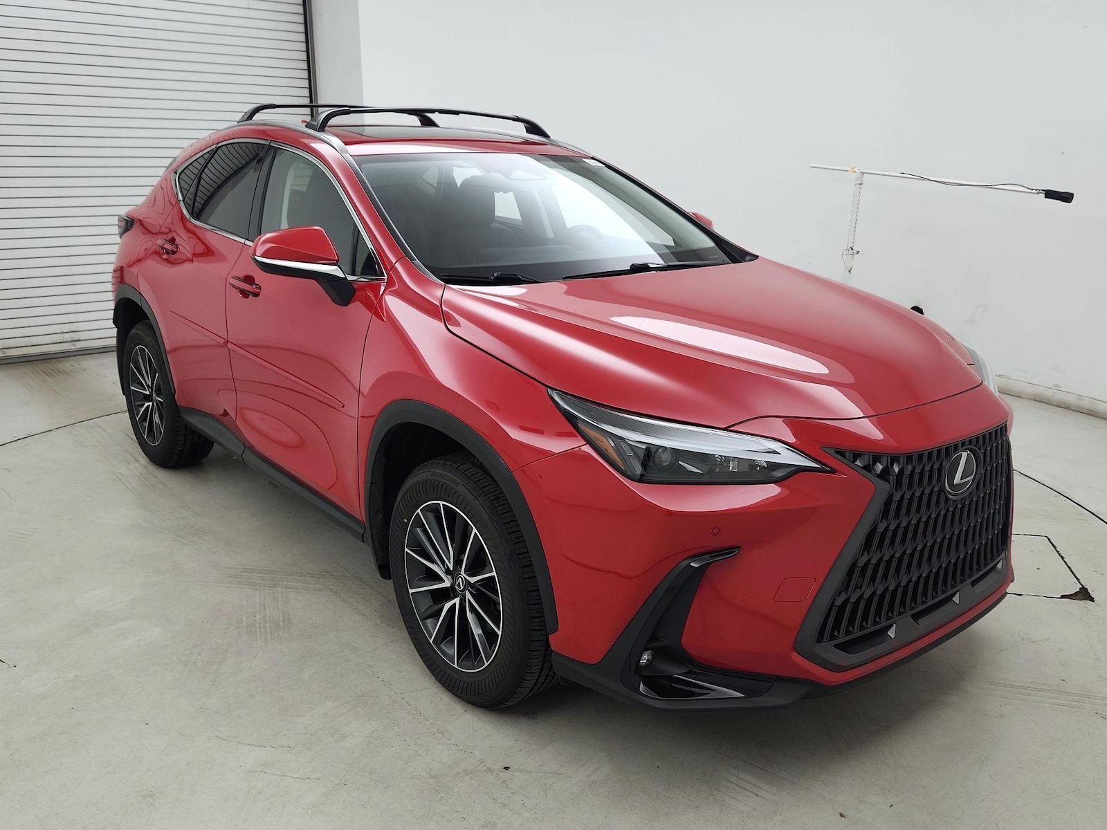 2024 Lexus NX