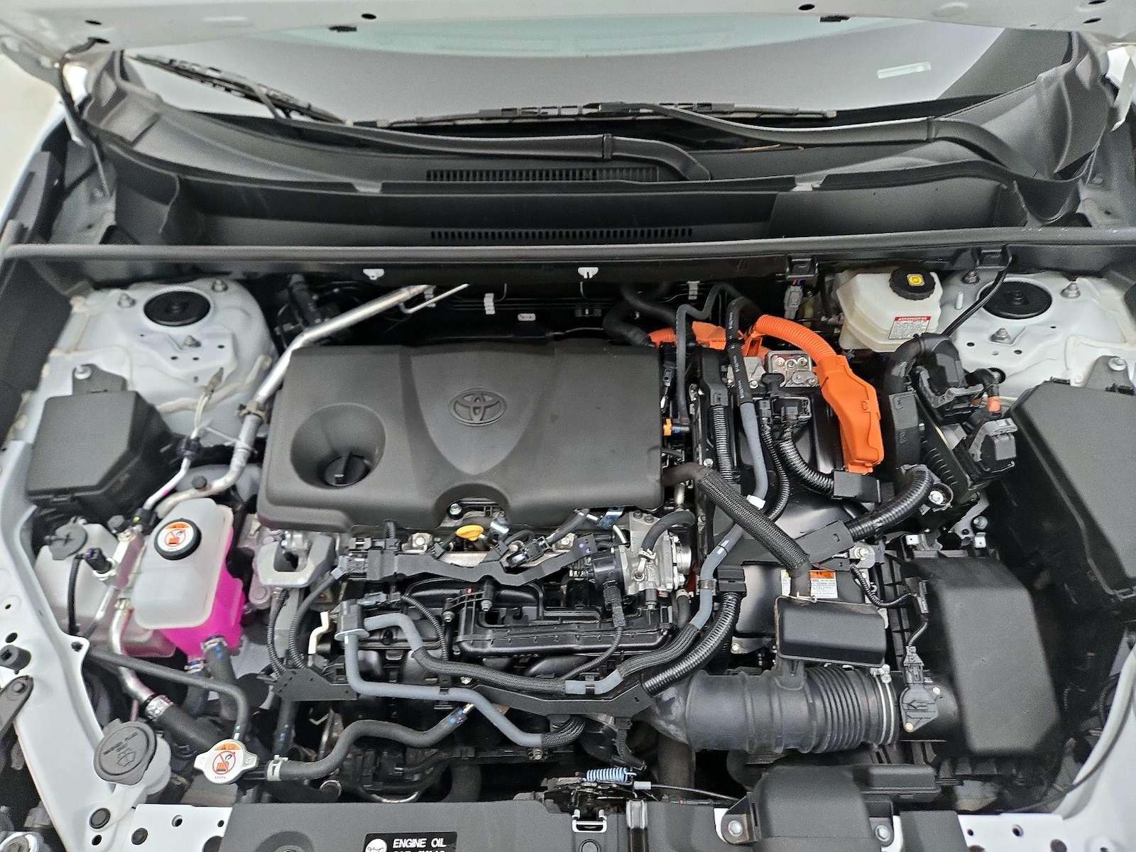 2025 Toyota RAV4 XLE - Photo 23