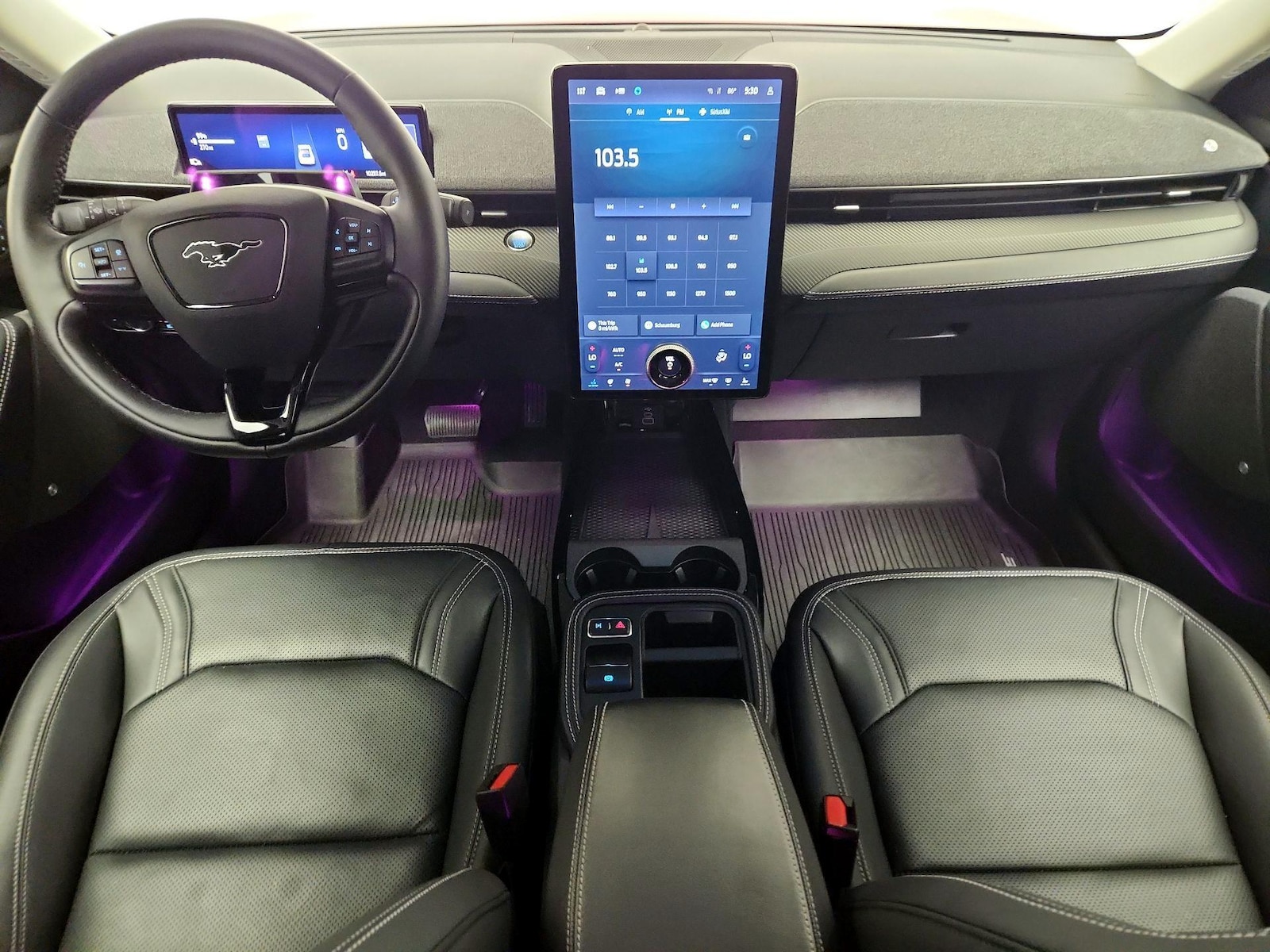 2025 Ford Mustang Mach-E Premium RWD - Photo 10