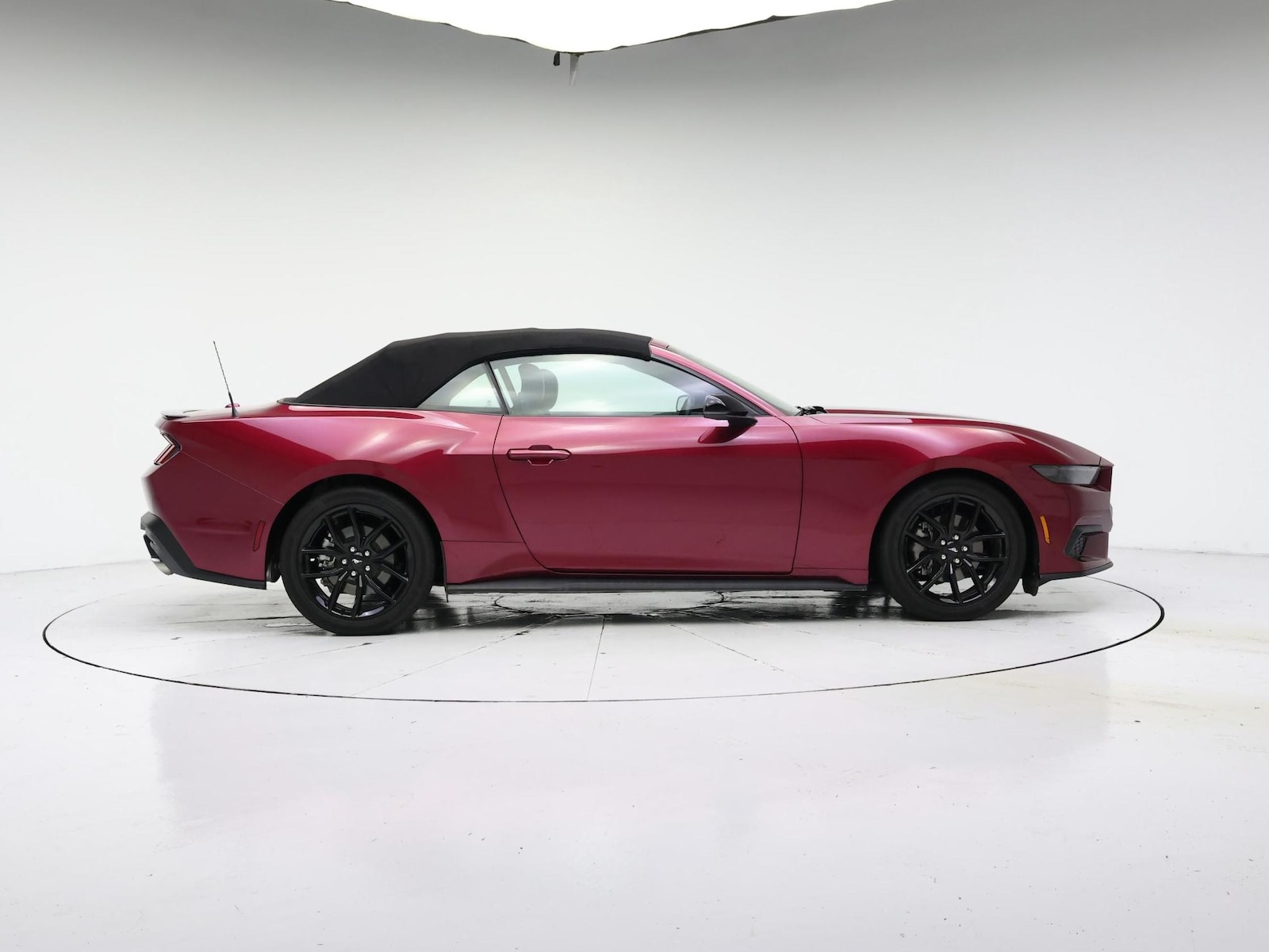 2025 Ford Mustang EcoBoost Premium - Photo 8