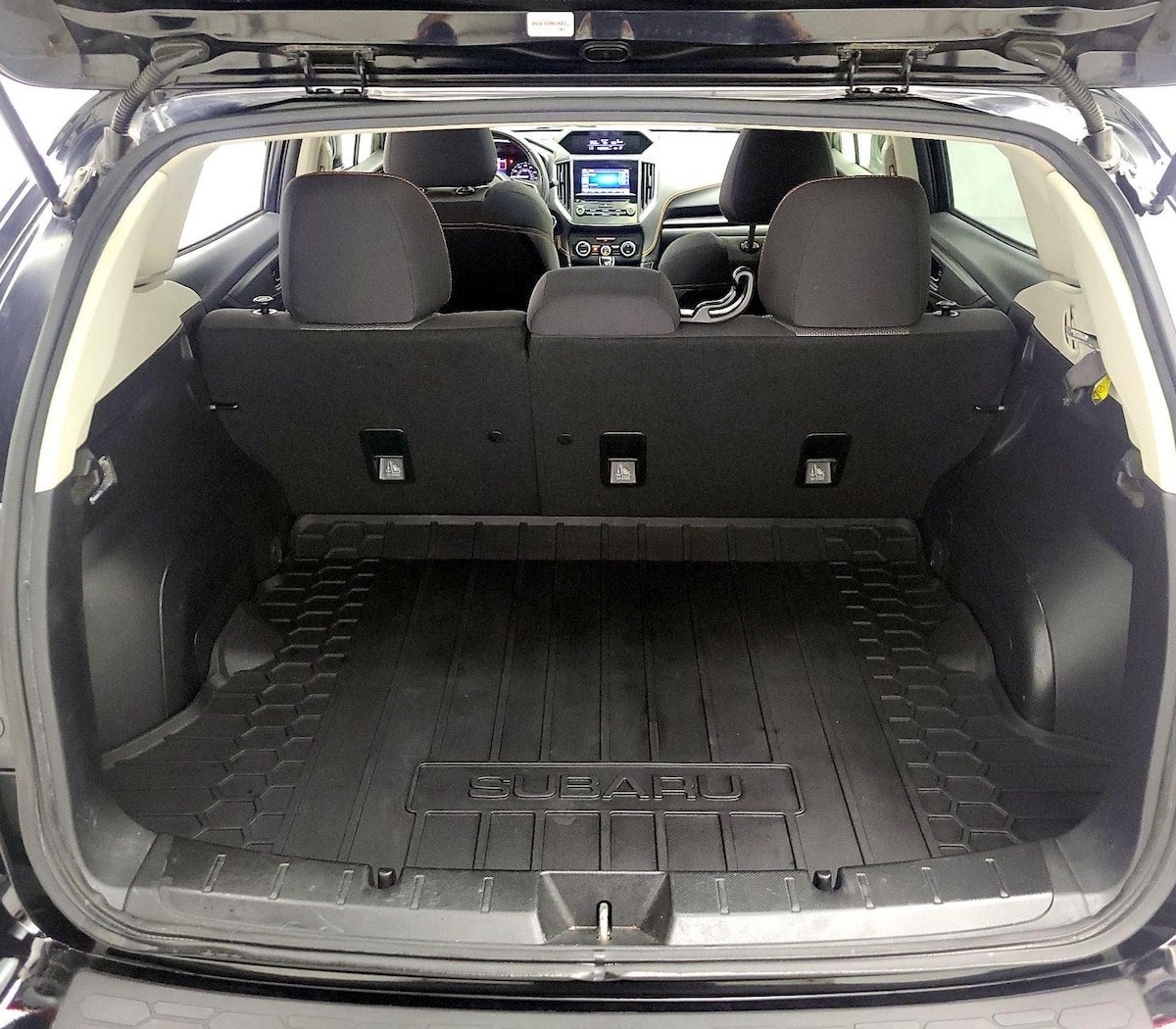 Trunk/Cargo (Seats Up)