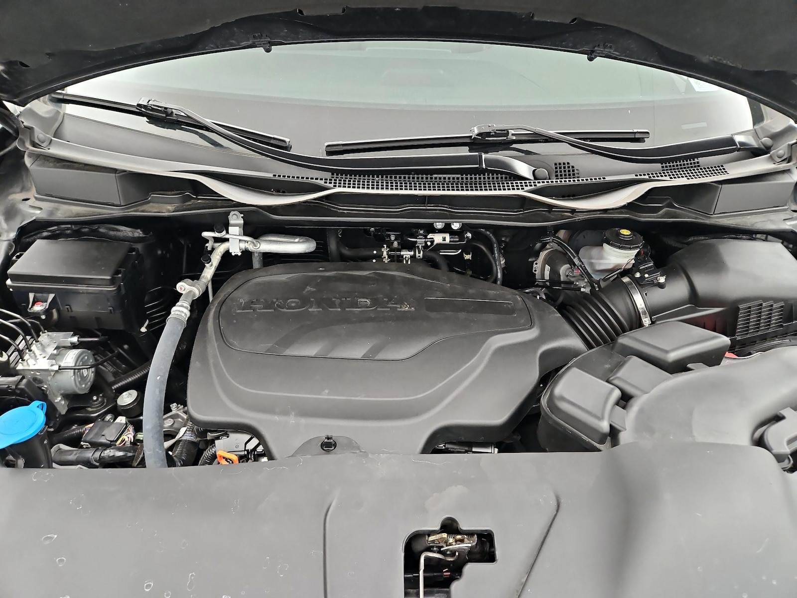 2025 Honda Odyssey Sport L - Photo 25