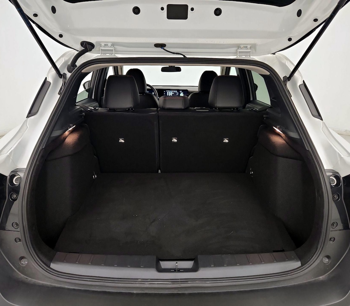 Trunk/Cargo (Seats Up)