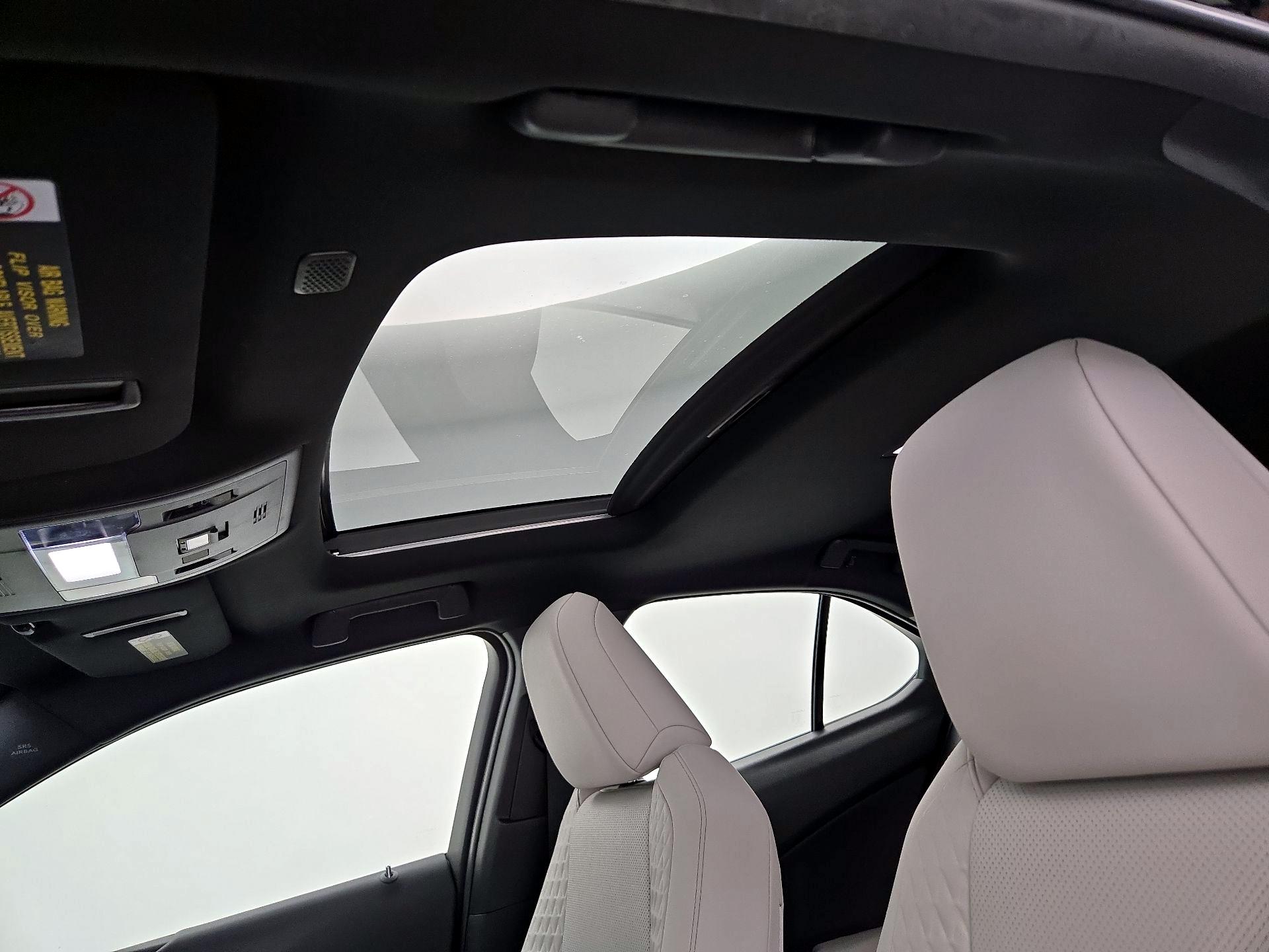 Thumbnail: 2020 Lexus UX - 19