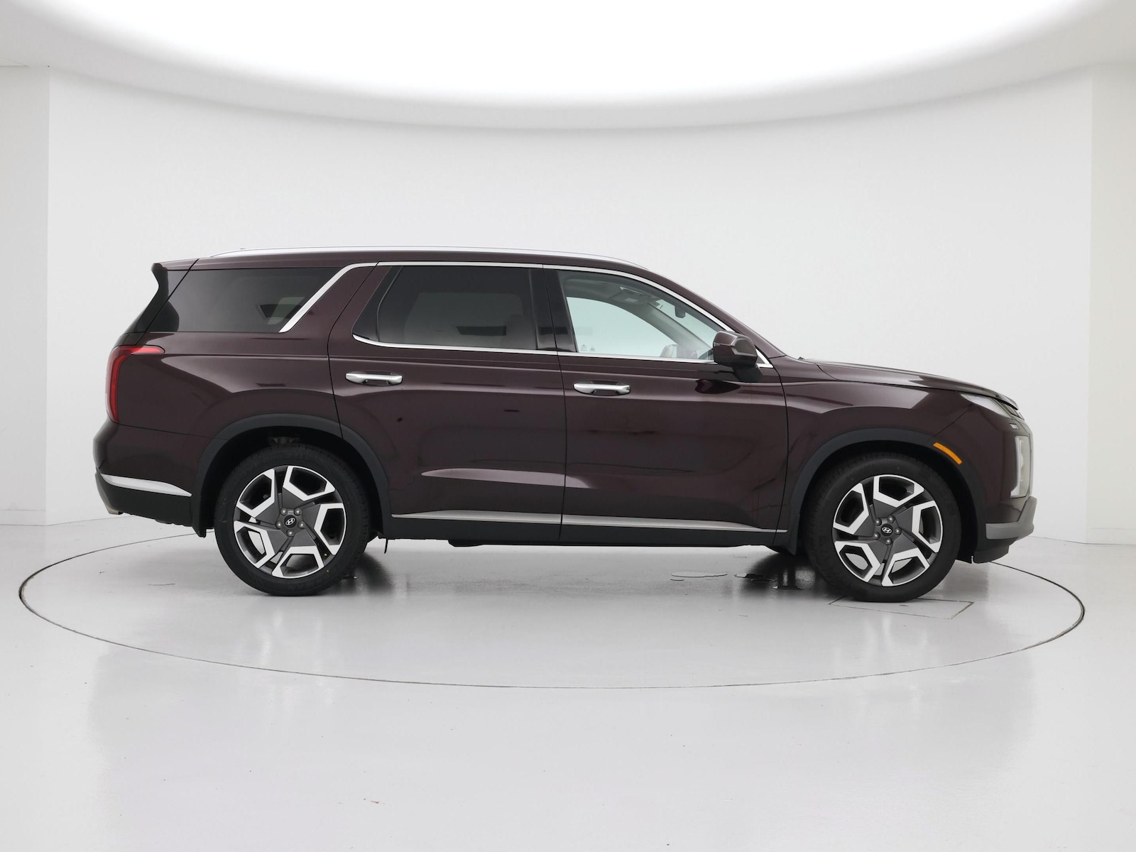 2024 Hyundai Palisade Limited - Photo 8