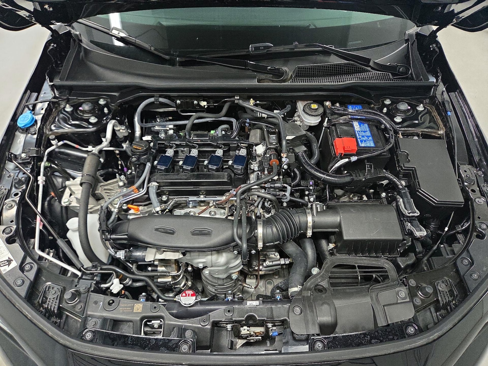 2026 Honda Civic Si - Photo 21