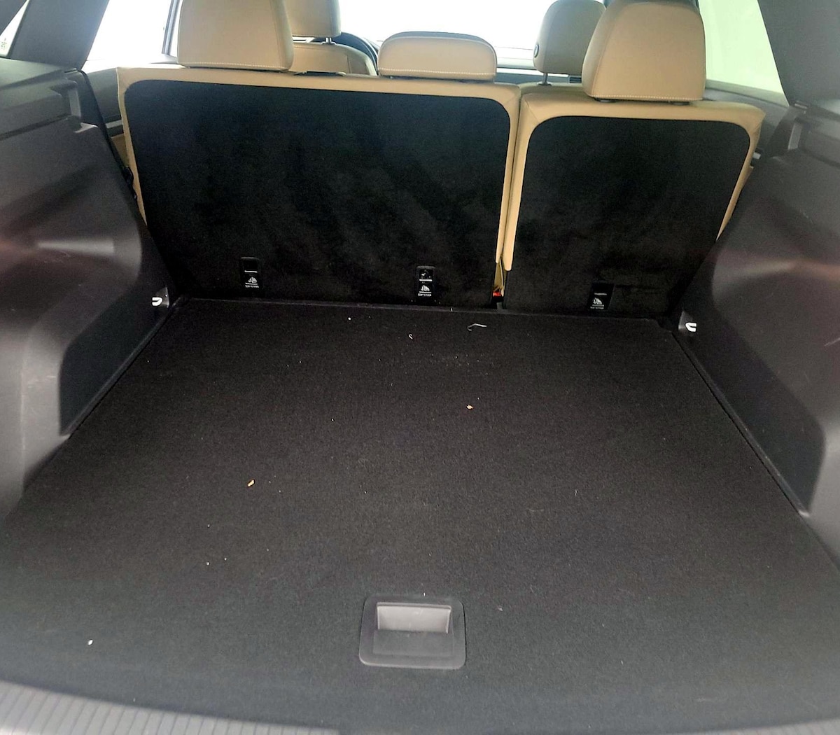 Trunk/Cargo (Seats Up)