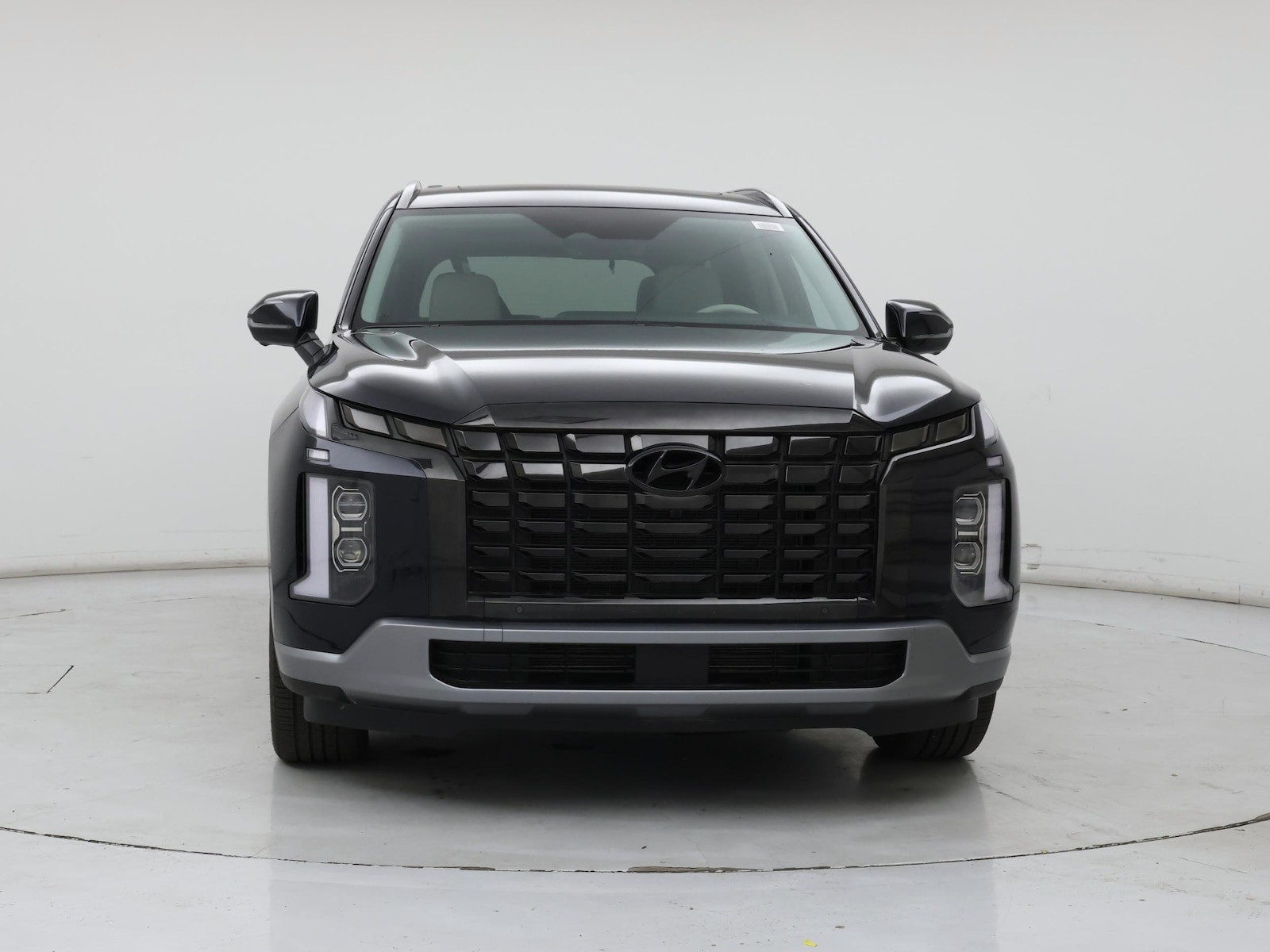 2024 Hyundai Palisade Limited - Photo 6